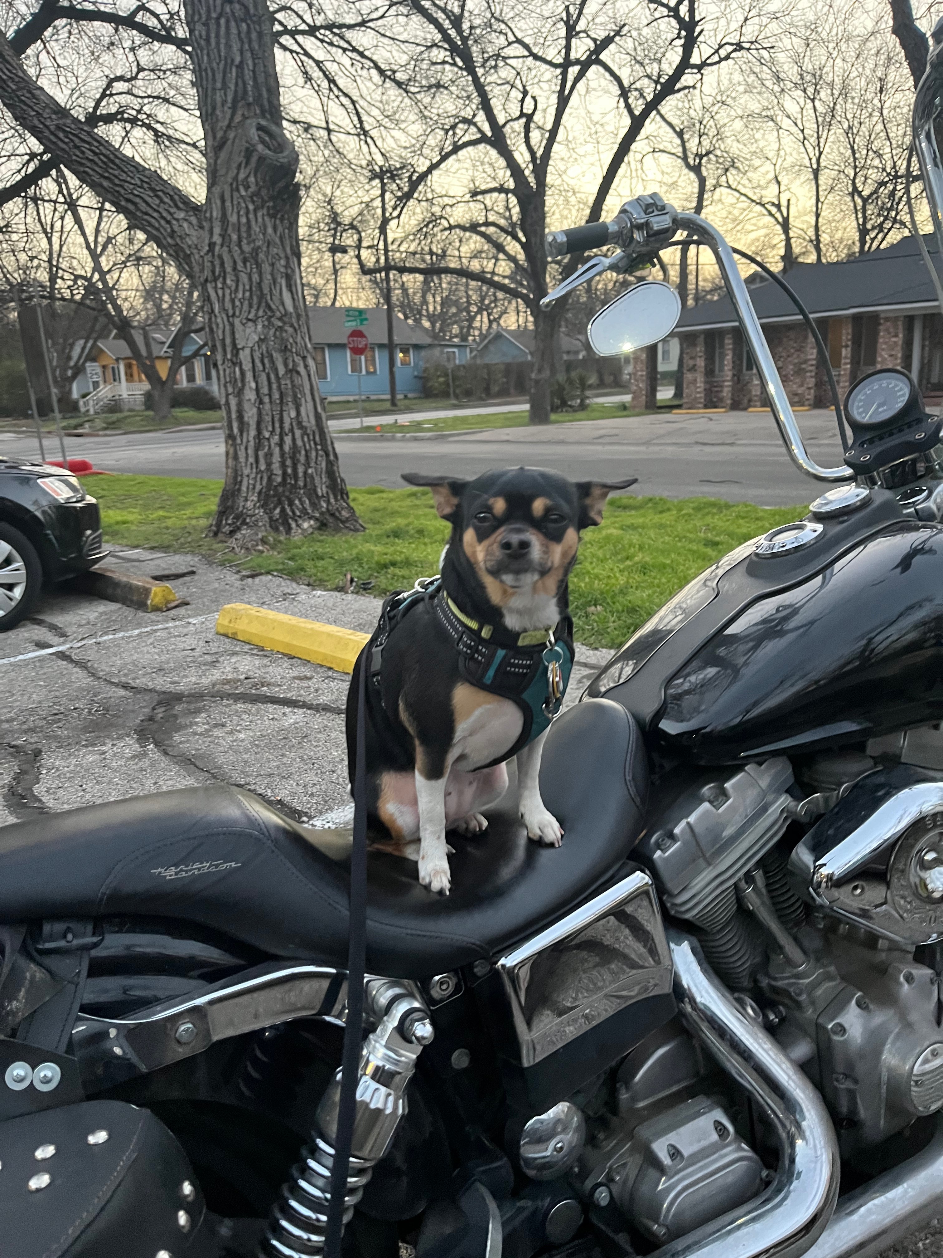 Help Casey During his Severe Motorcycle Accident Recovery campaign photo, 2 of 8
