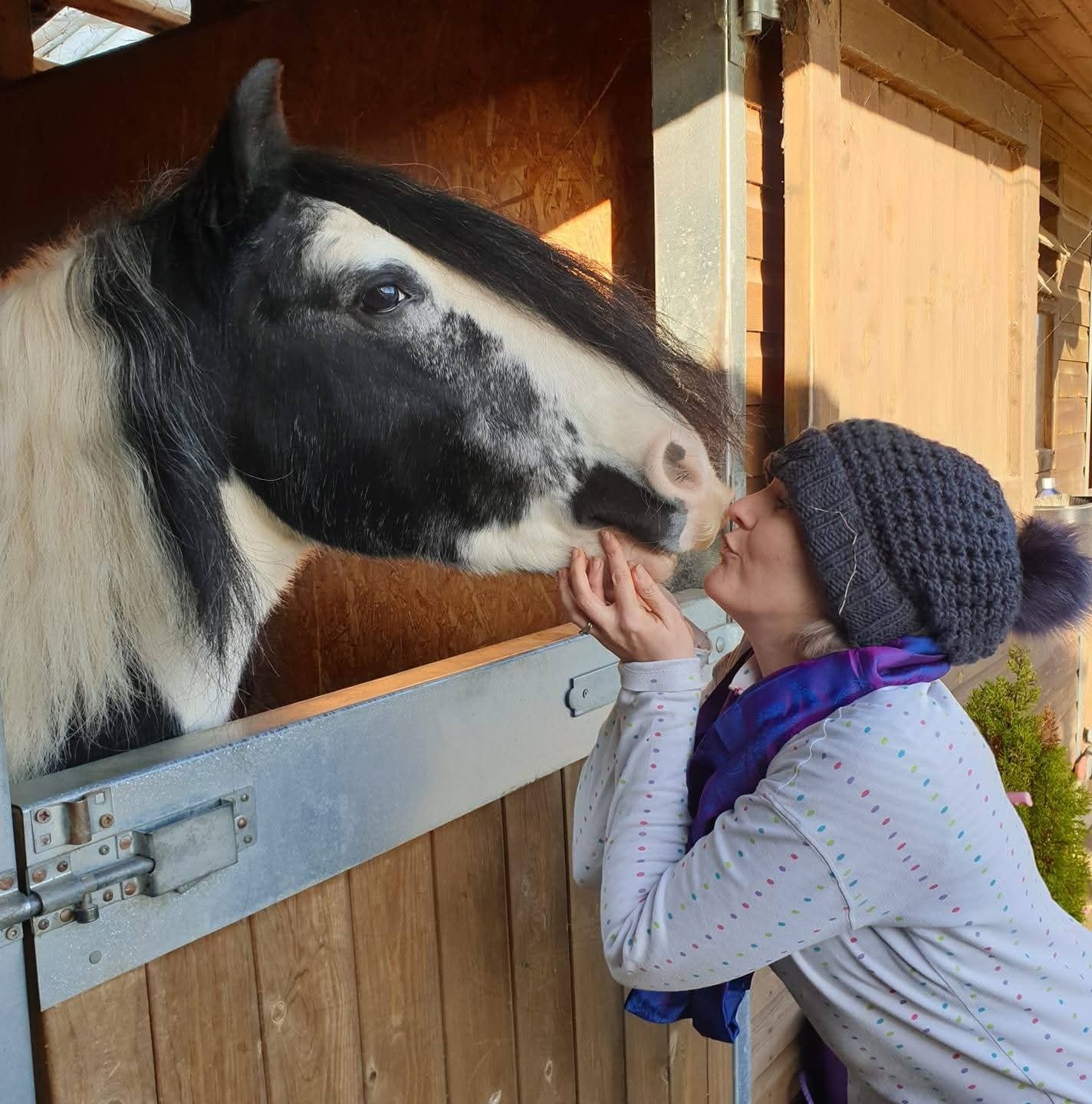 Donate to World Horse Welfare in Laura's Memory campaign photo, 6 of 7
