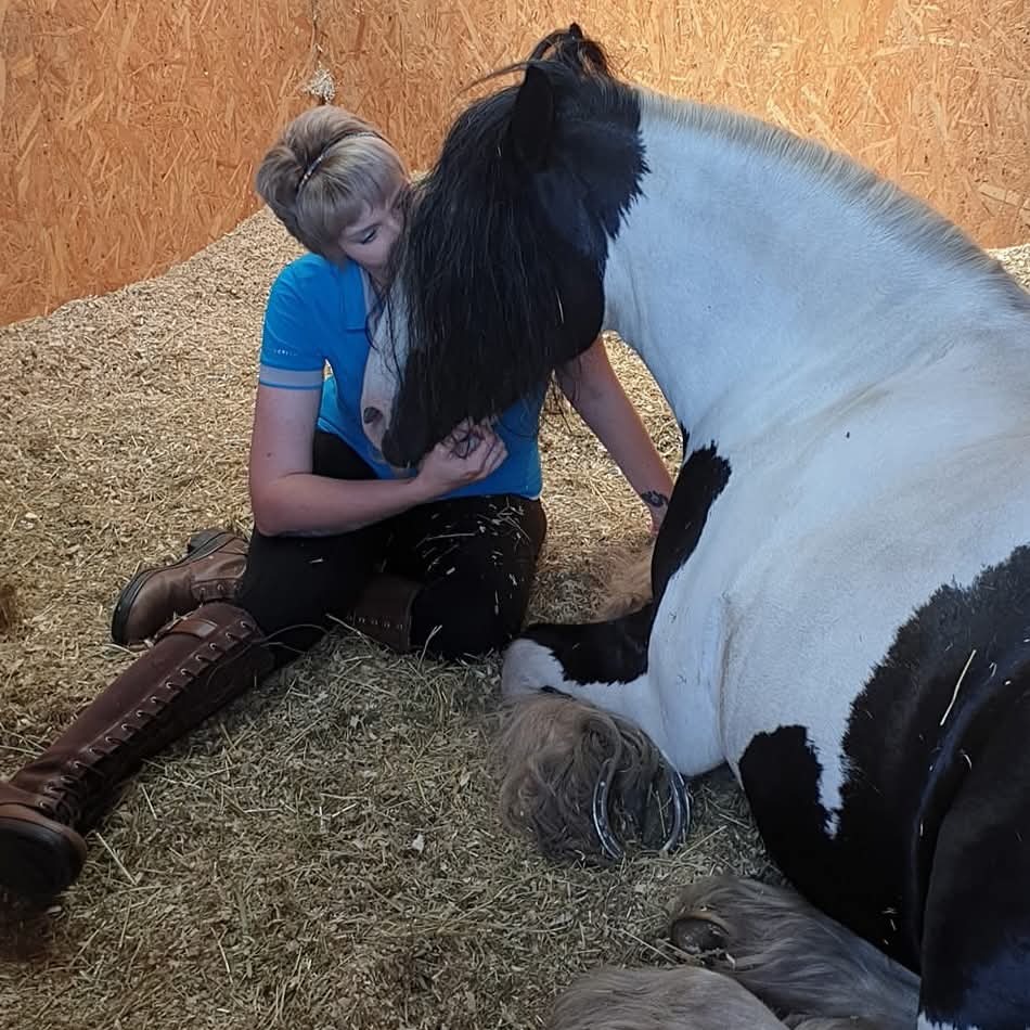 Donate to World Horse Welfare in Laura's Memory campaign photo, 2 of 7
