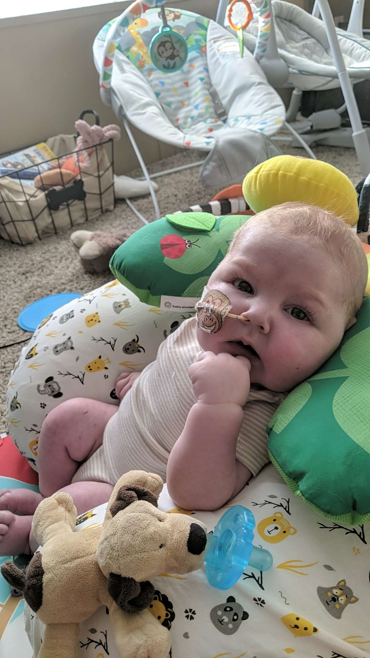 TinyHeart,BigFight:HelpSupport Maverick's Journey with HLHS campaign photo, 7 of 8