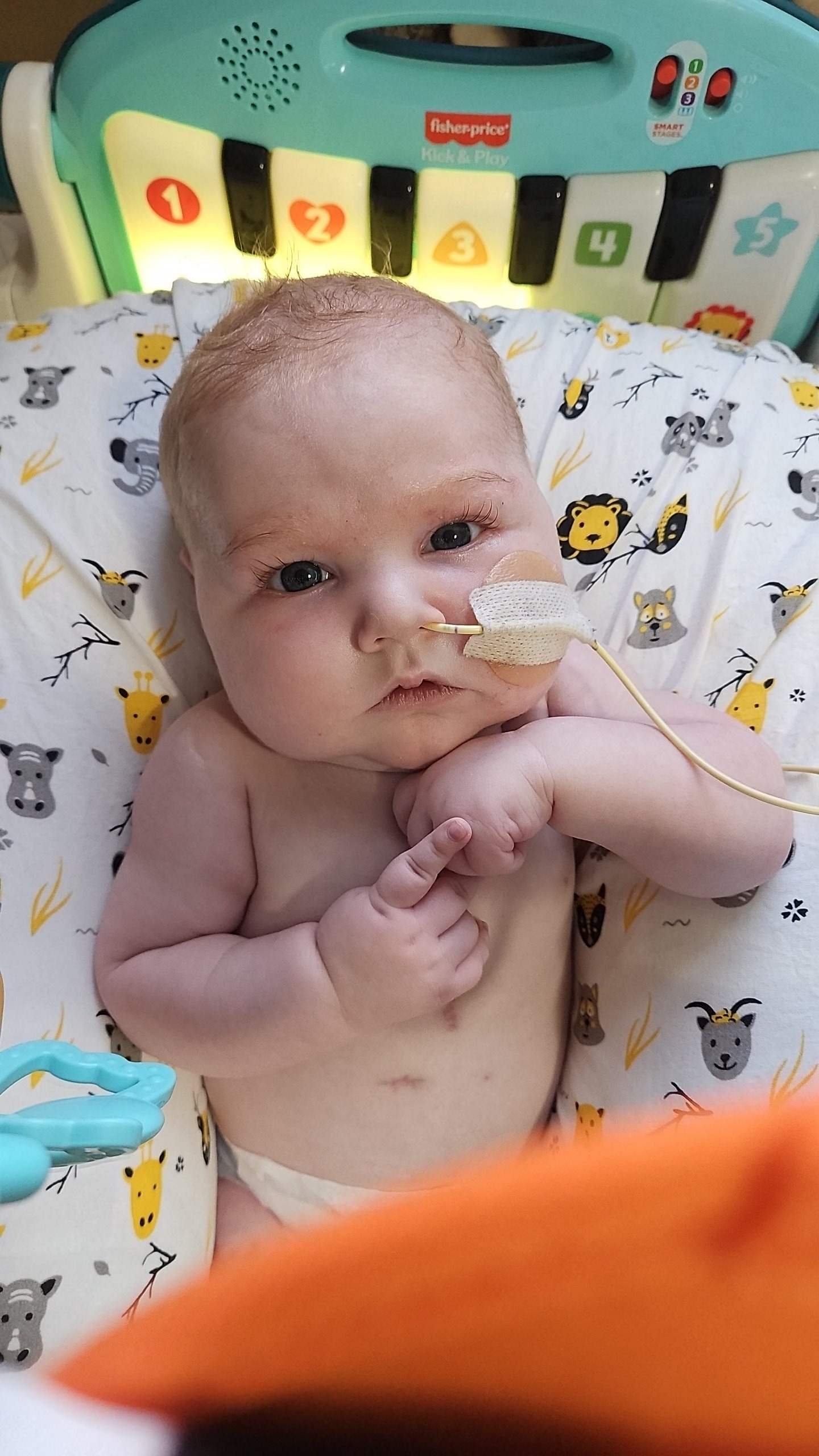 TinyHeart,BigFight:HelpSupport Maverick's Journey with HLHS campaign photo, 5 of 8
