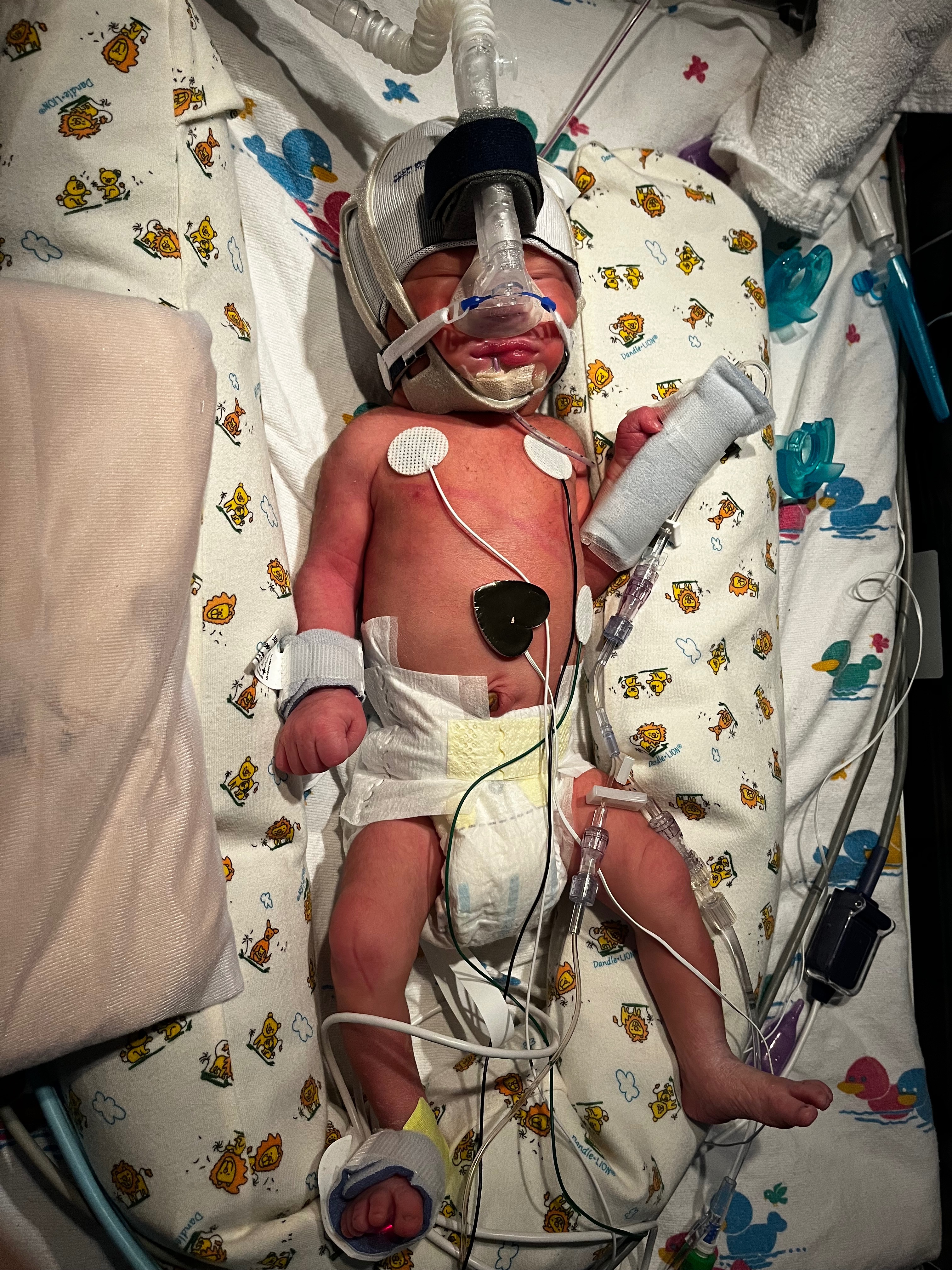 ❤️ Help Us Support Baby Damien’s Journey ❤️ campaign photo, 4 of 5