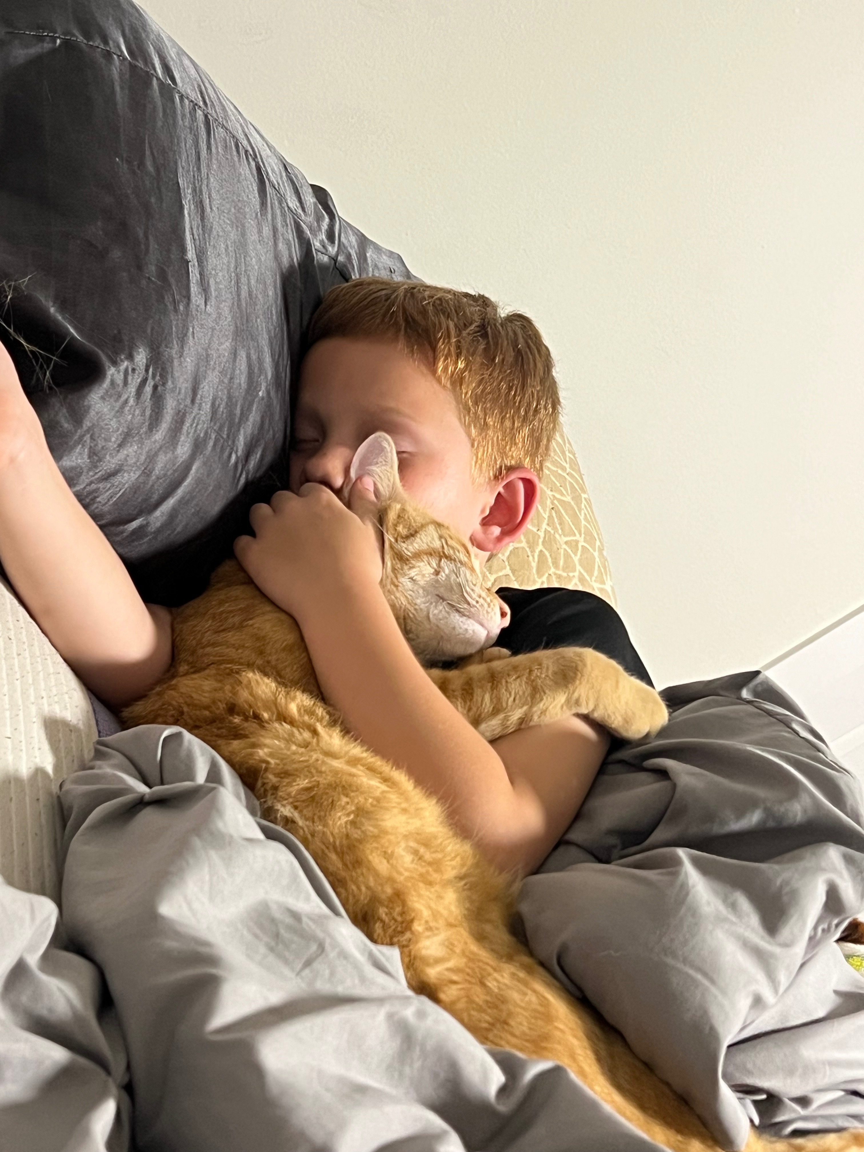 Help Save Our Cat’s Life – He Deserves a Second Chance campaign photo, 2 of 8