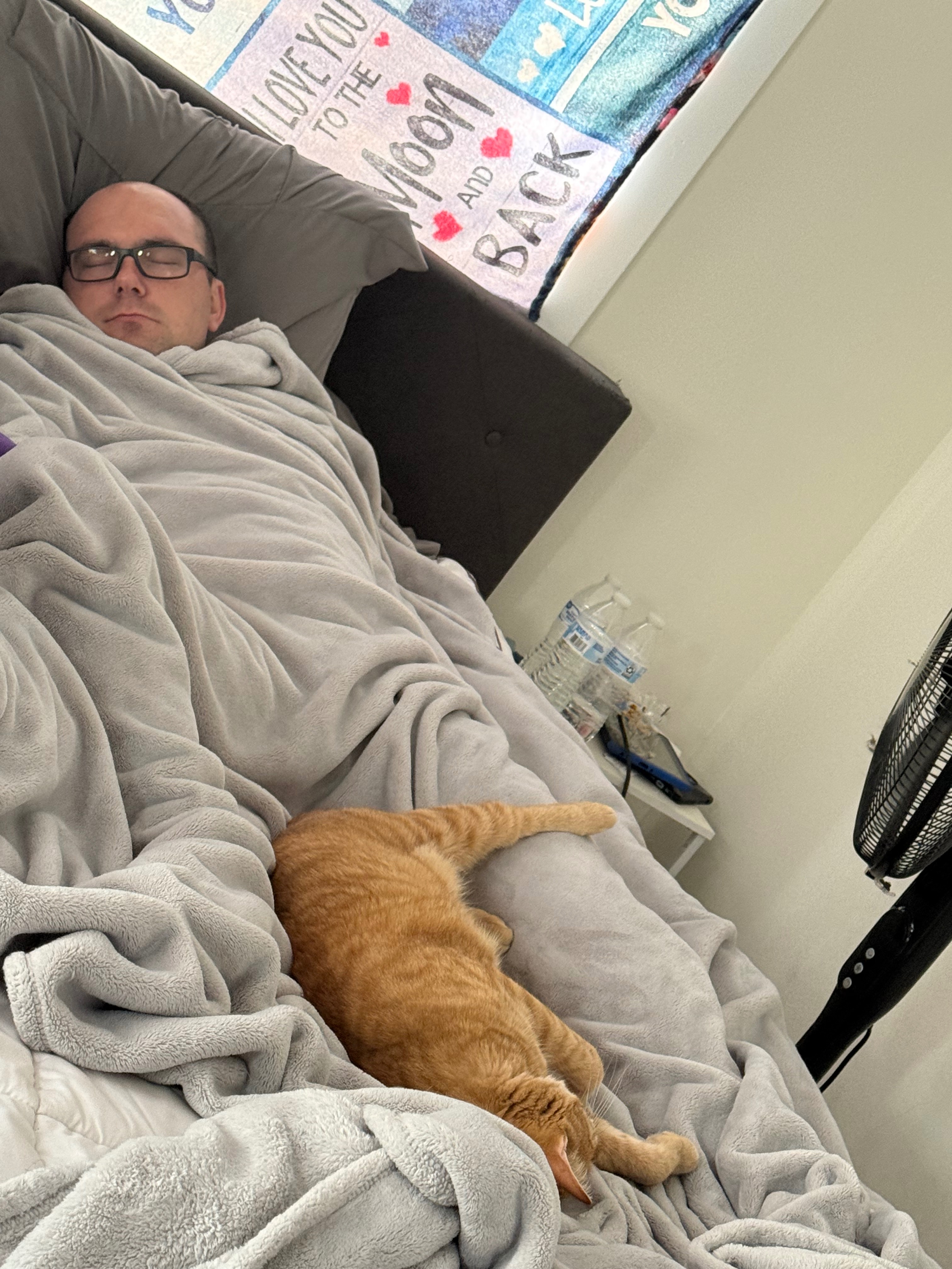 Help Save Our Cat’s Life – He Deserves a Second Chance campaign photo, 4 of 8