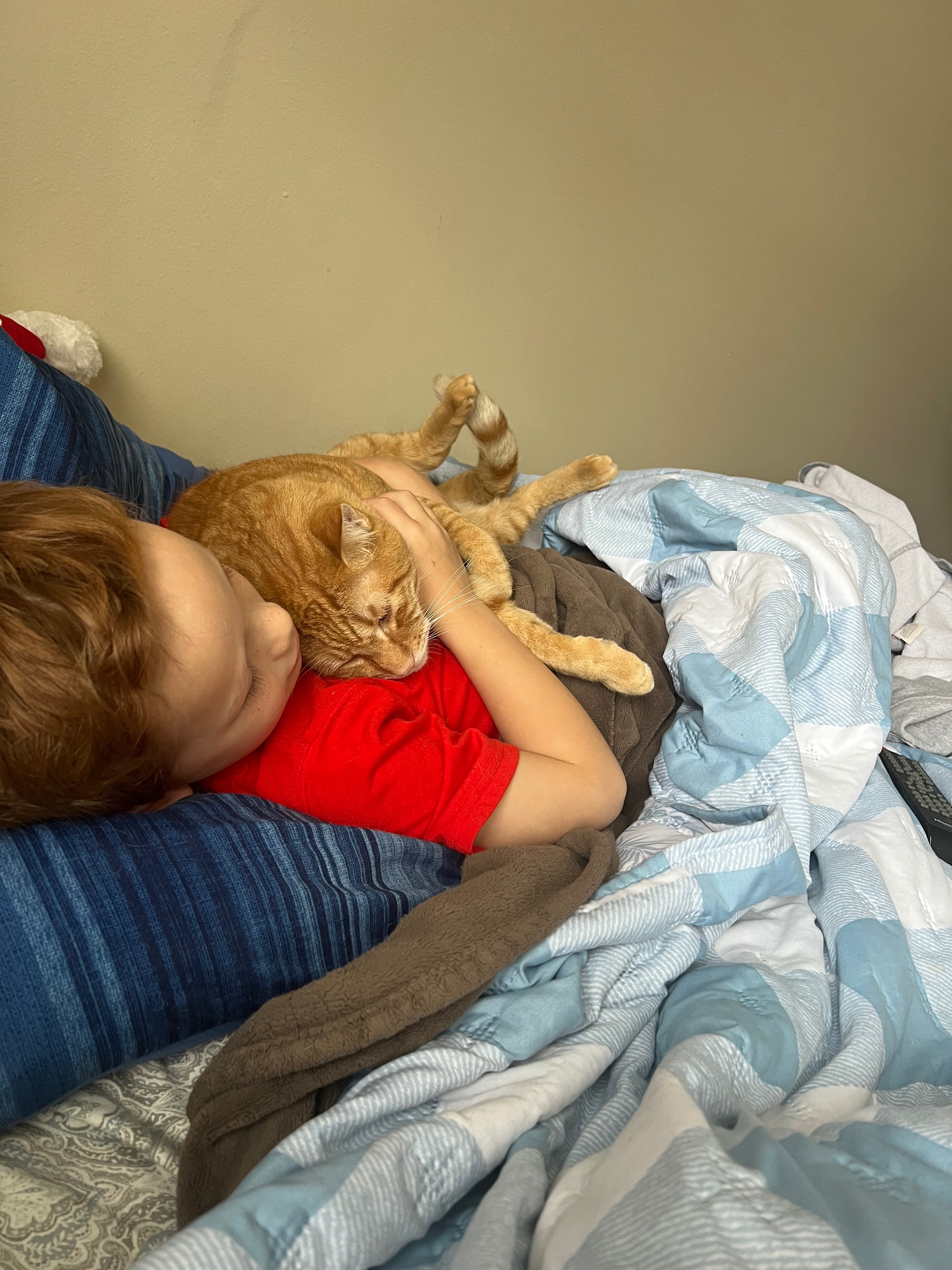 Help Save Our Cat’s Life – He Deserves a Second Chance campaign photo, 5 of 8