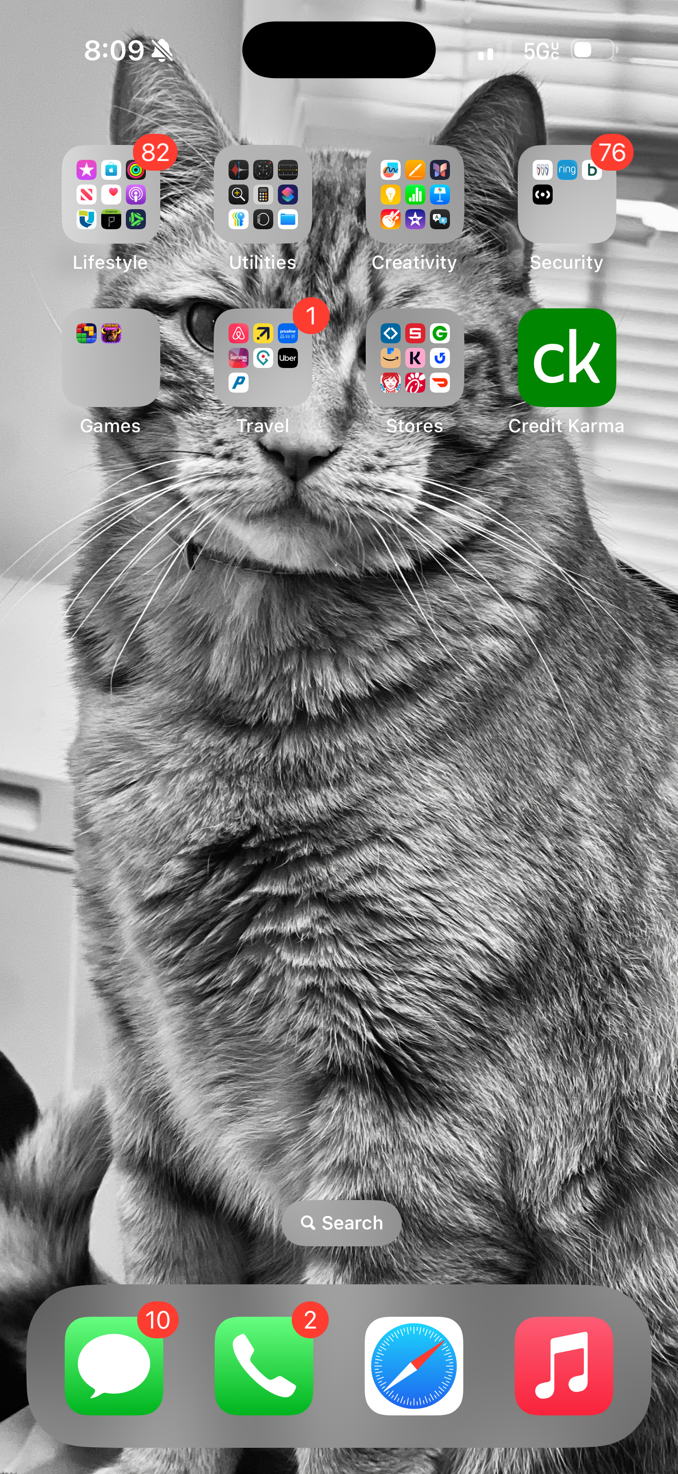 Help Save Our Cat’s Life – He Deserves a Second Chance campaign photo, 6 of 8