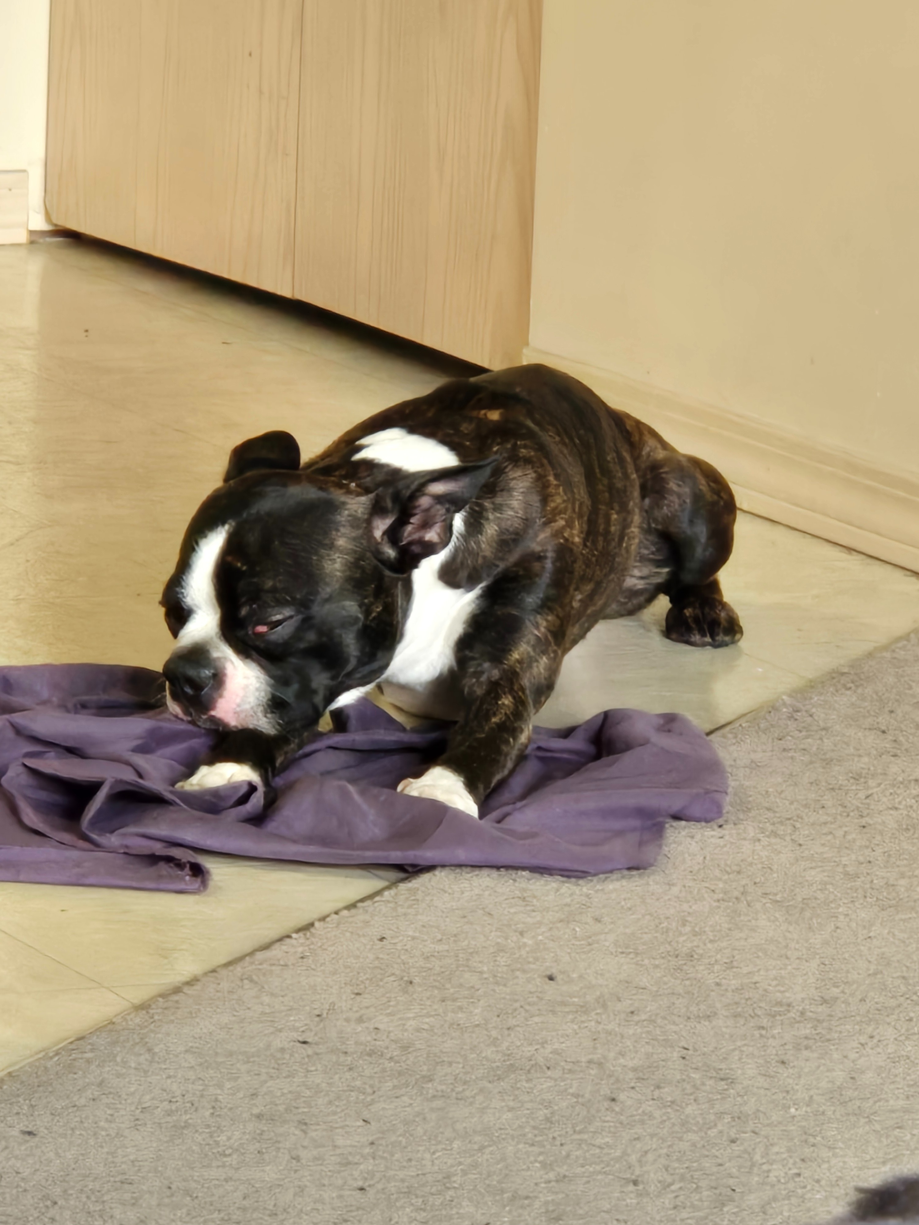Emergency surgery for blockage campaign photo, 4 of 6