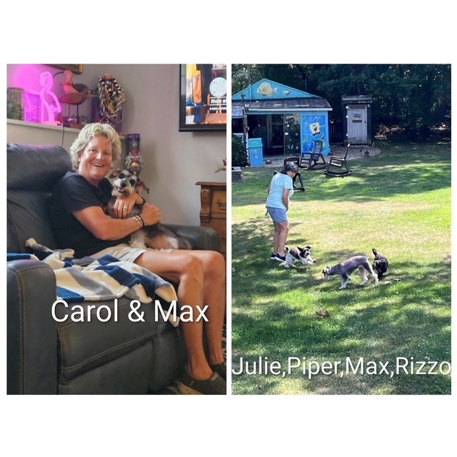 Support Sandy, A Lifeline for Rescued Dogs campaign photo, 4 of 8