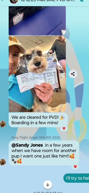 Support Sandy, A Lifeline for Rescued Dogs campaign photo, 5 of 8