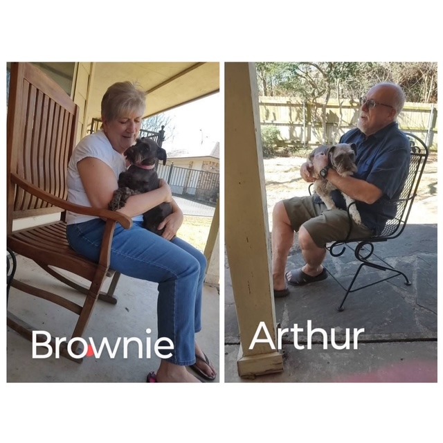 Support Sandy, A Lifeline for Rescued Dogs campaign photo, 6 of 8