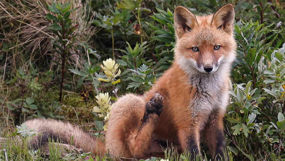 Join me on this journey of love and hope