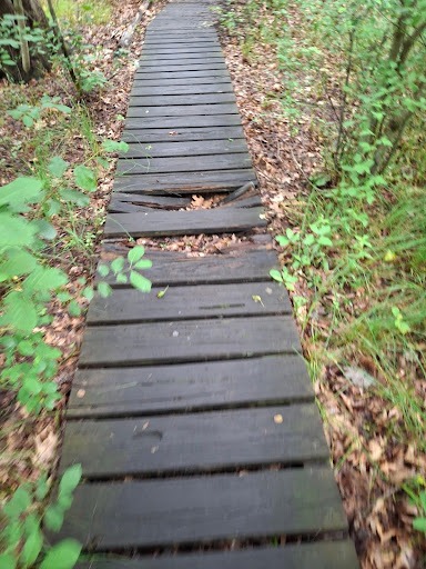 Arlington's Great Meadows Boardwalk Eagle Project campaign photo, 2 of 4