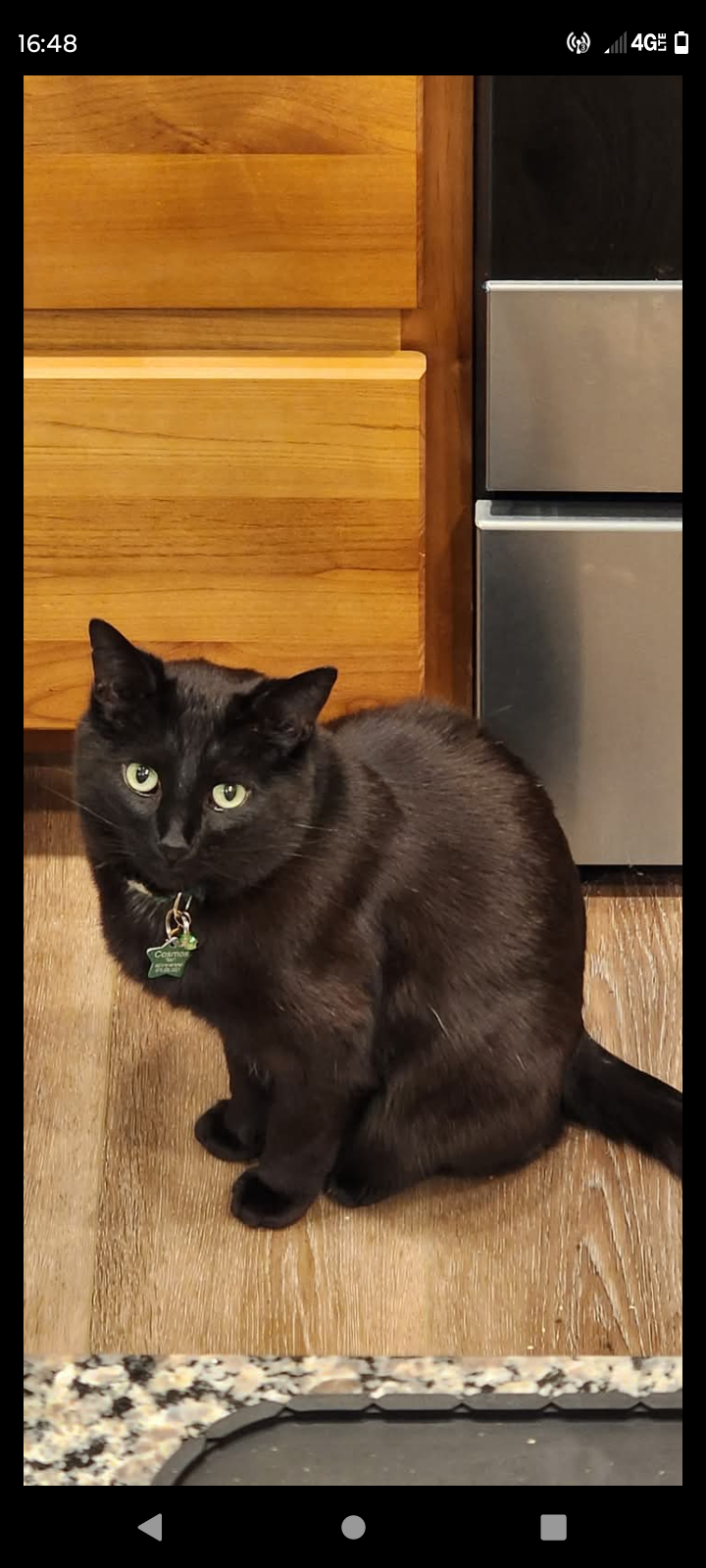 Cosmos needs your help! campaign photo, 2 of 8