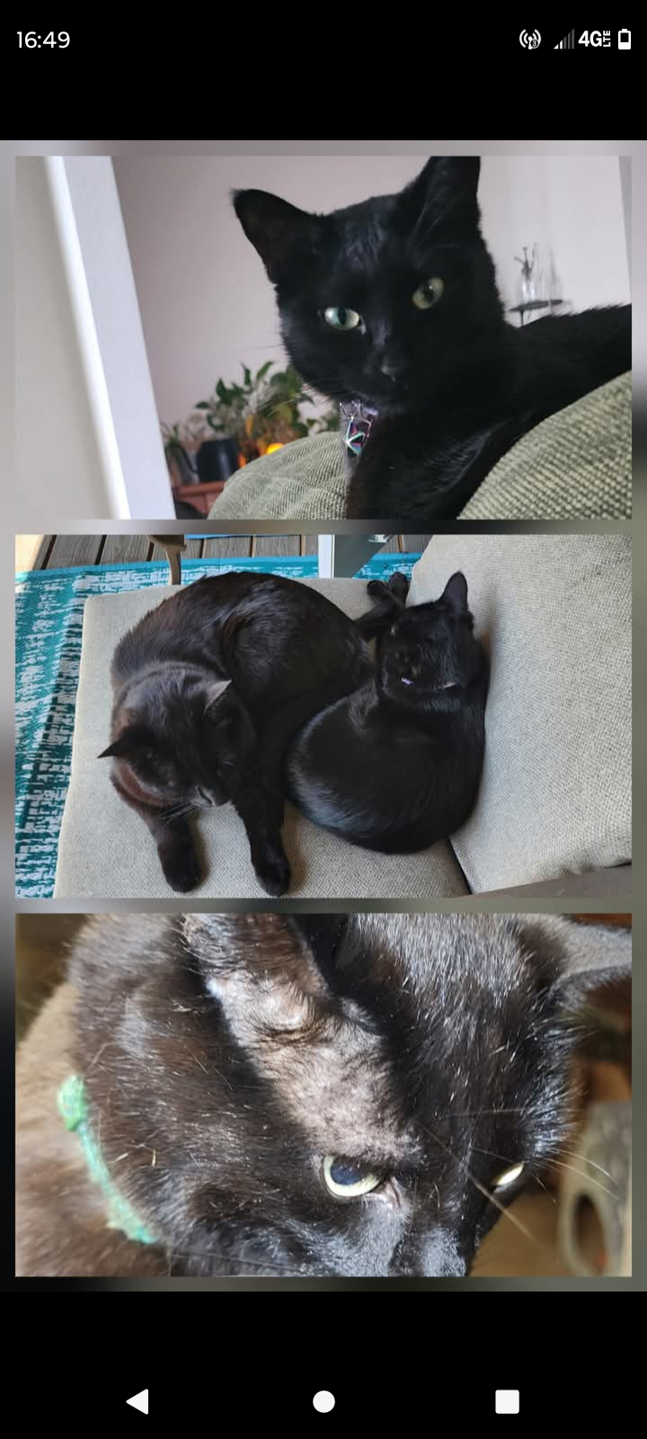 Cosmos needs your help! campaign photo, 4 of 8