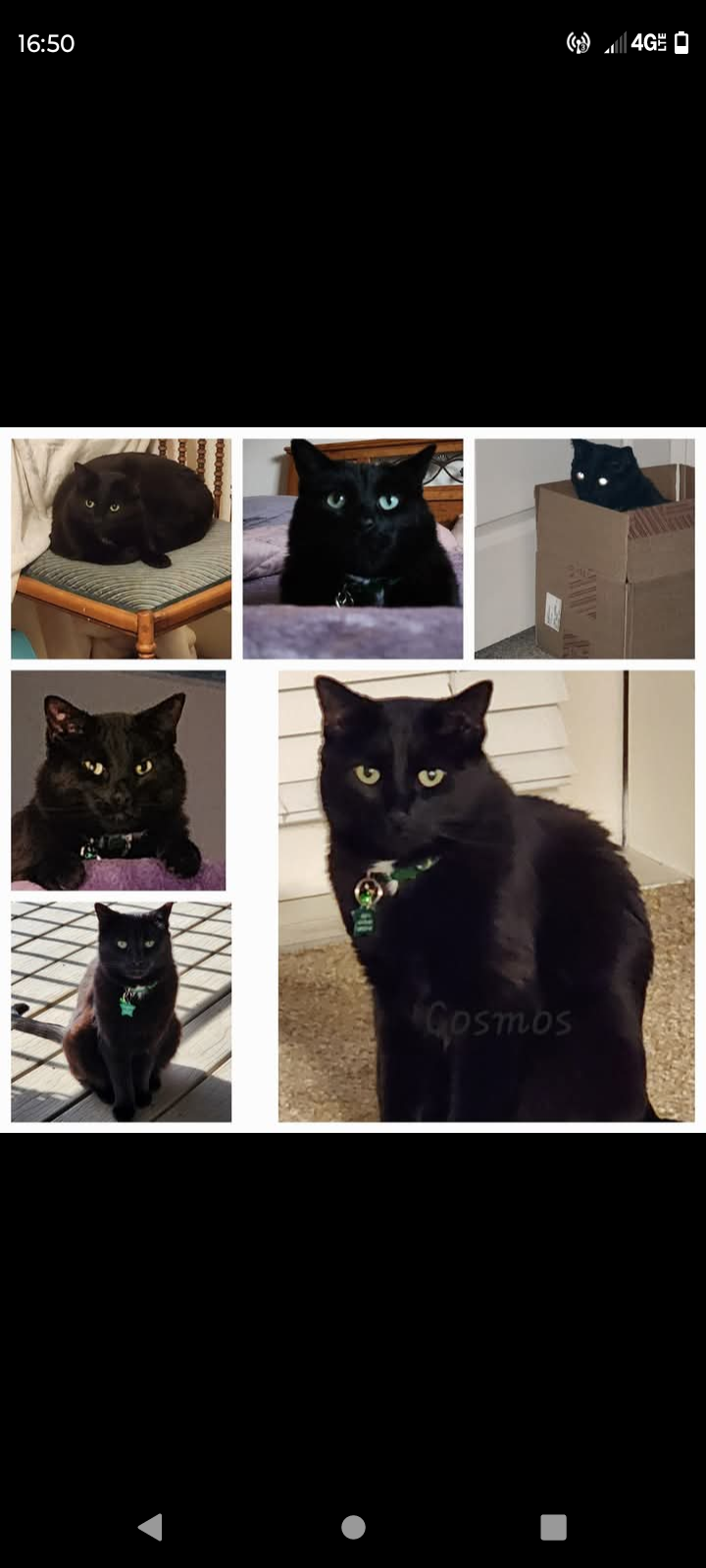 Cosmos needs your help! campaign photo, 5 of 8