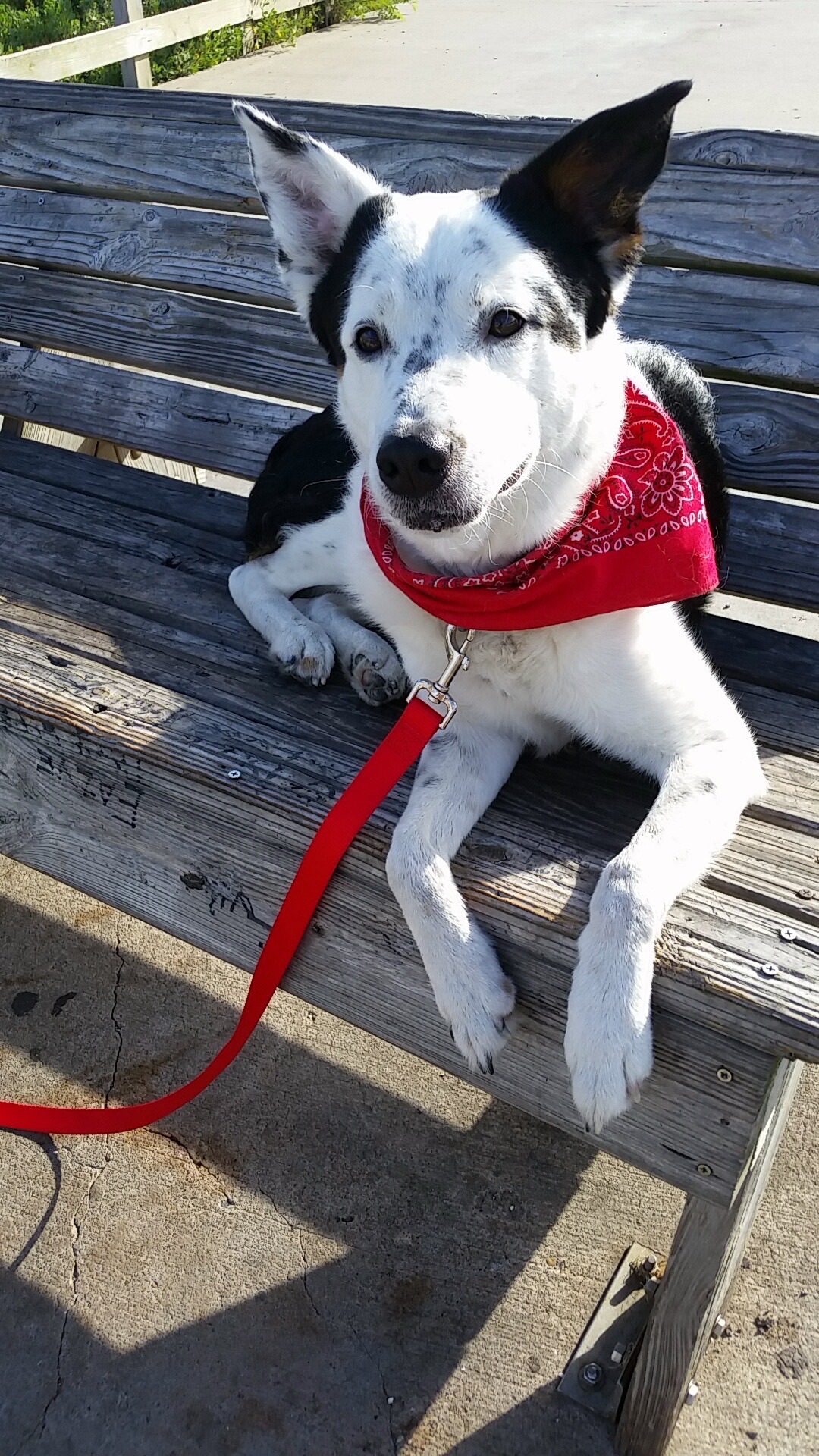 Support Ryan and Lilly in Honoring Waylon campaign photo, 2 of 7