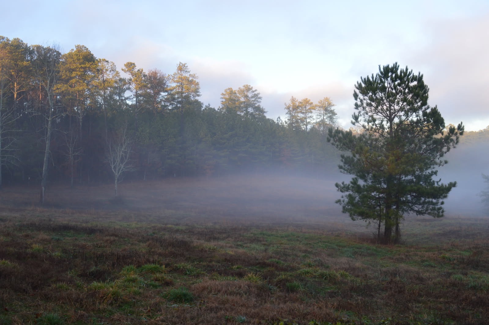 Help Marla Defend Her Land and Livelihood campaign photo, 2 of 5