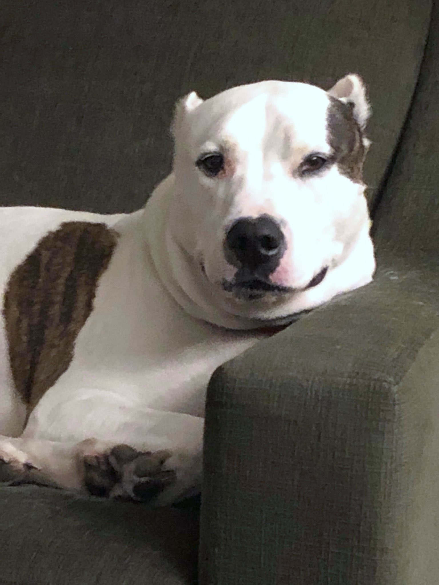 Donate to Save Freddie's Sight and Future campaign photo, 2 of 8