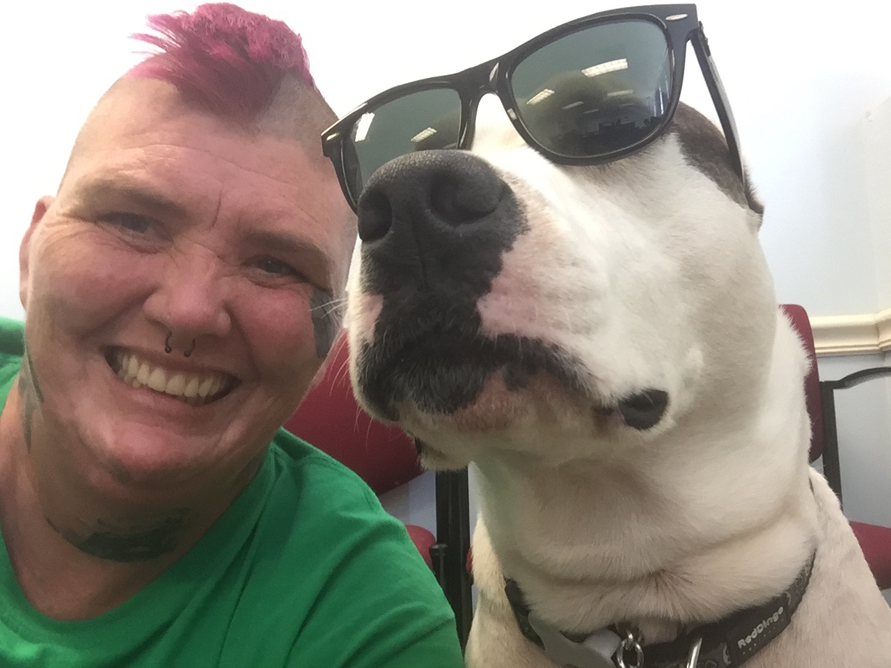 Donate to Save Freddie's Sight and Future campaign photo, 5 of 8
