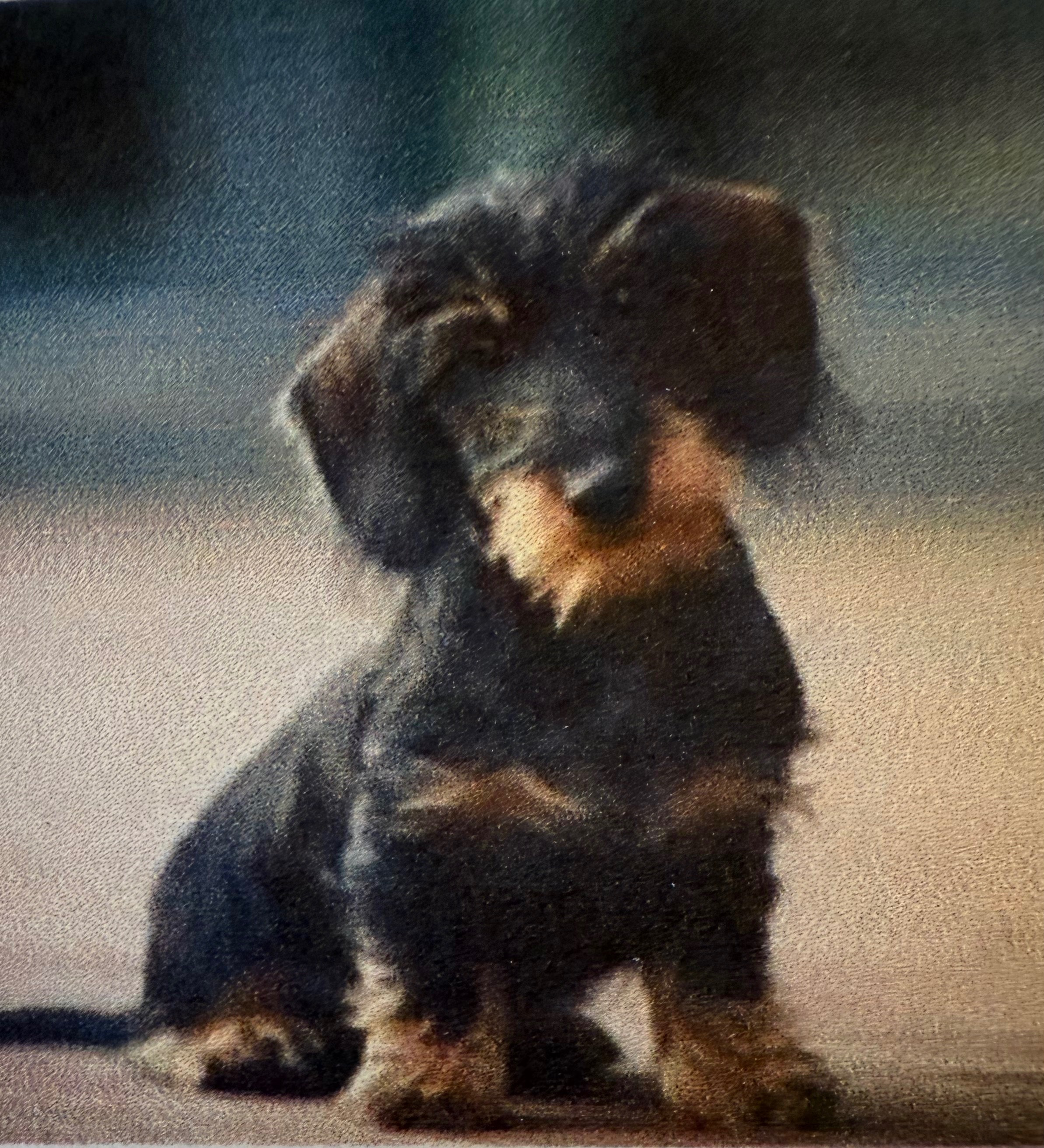 Please Help Donna with Extraordinary Vet Bills to Save Etta campaign photo, 6 of 7