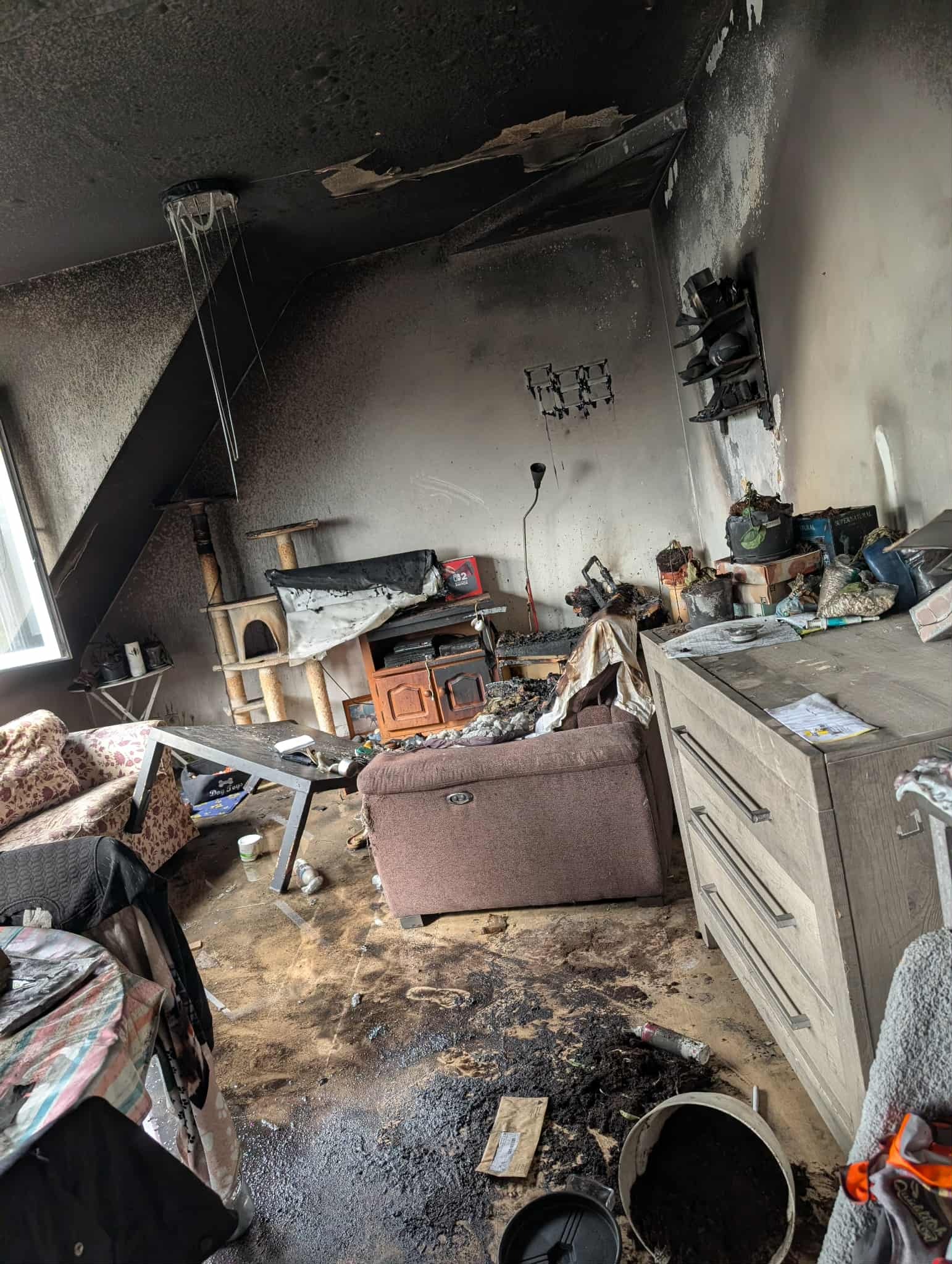 HULP NA BRAND , 4 huisdieren gered. HOGE MEDISCHE KOSTEN. campaign photo, 7 of 8