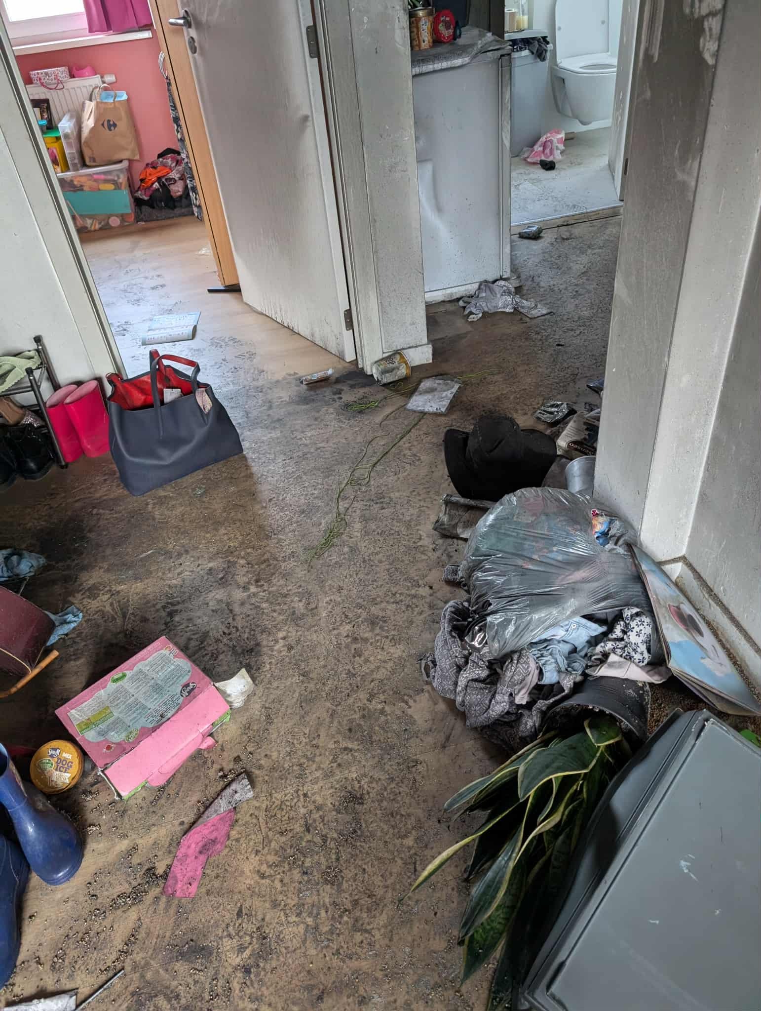 HULP NA BRAND , 4 huisdieren gered. HOGE MEDISCHE KOSTEN. campaign photo, 6 of 8