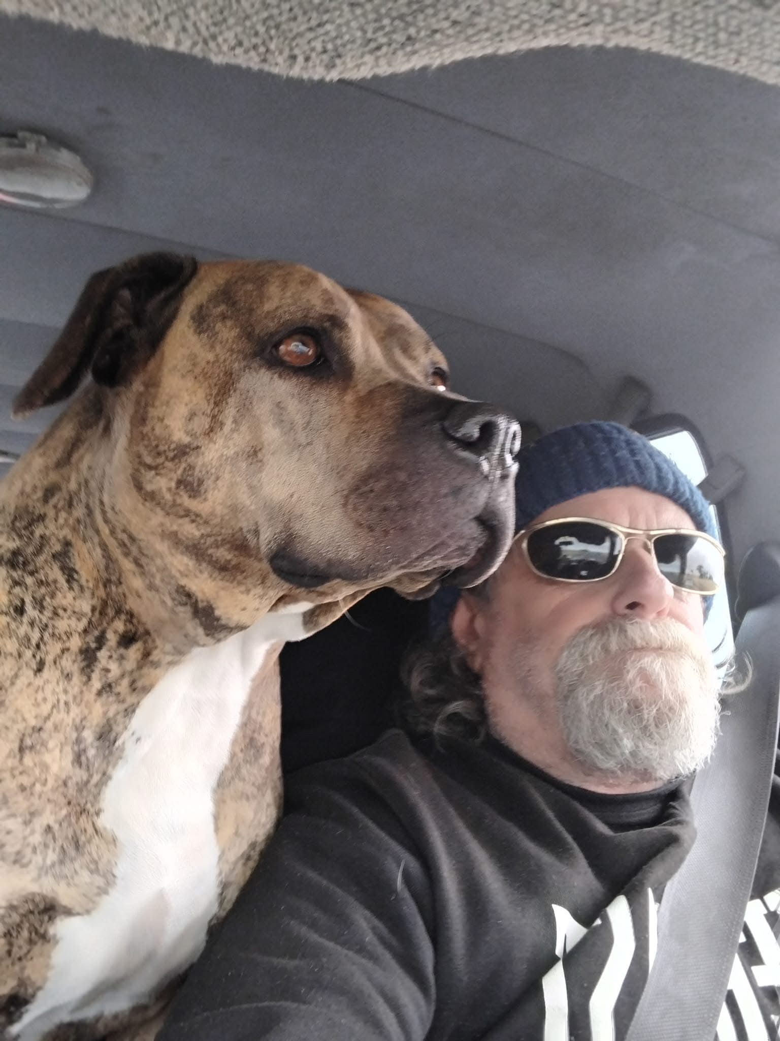 LULU -Urgent Vet Assistance campaign photo, 6 of 8