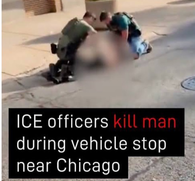 User-uploaded image 1