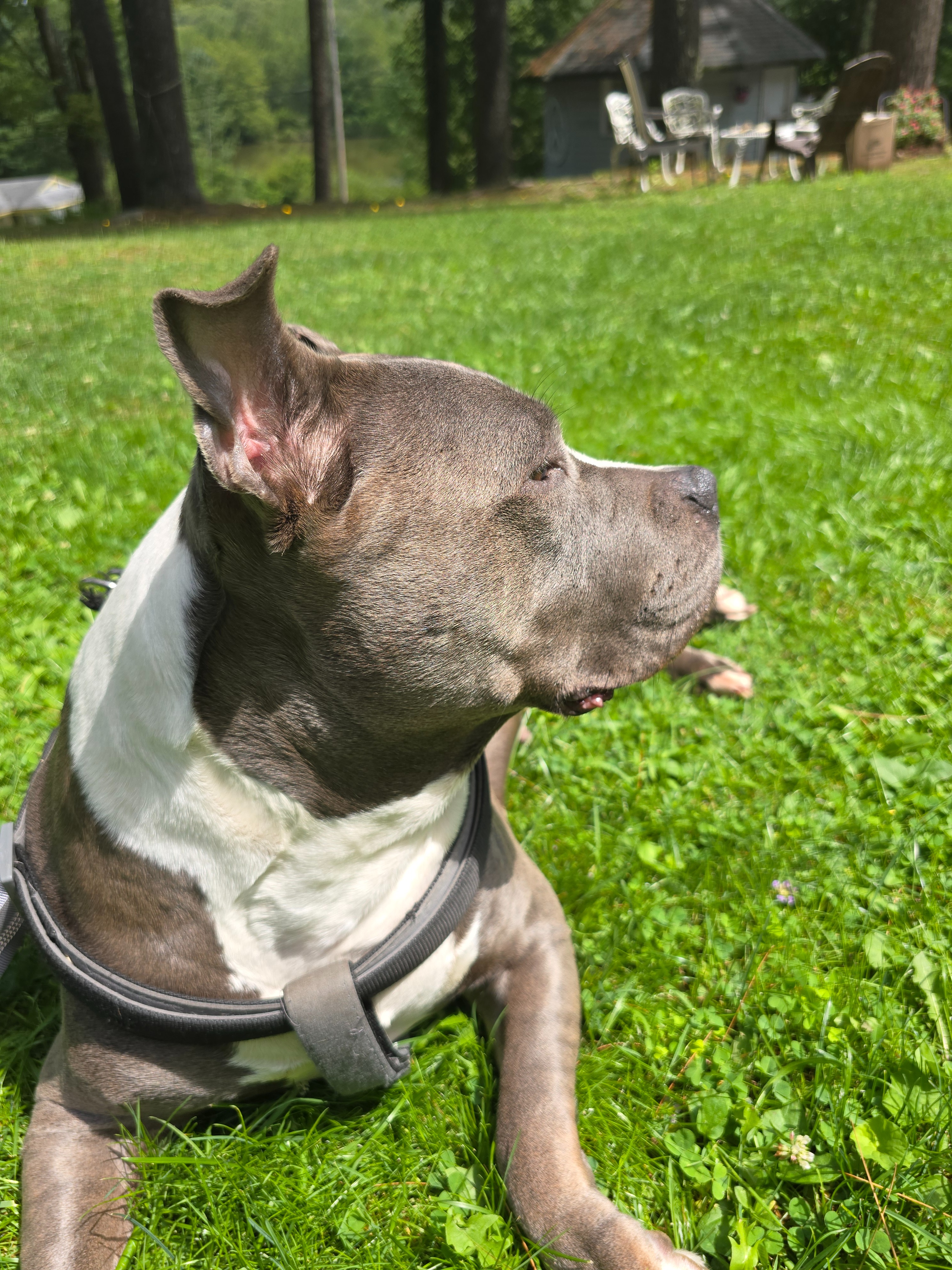 User-uploaded image 1