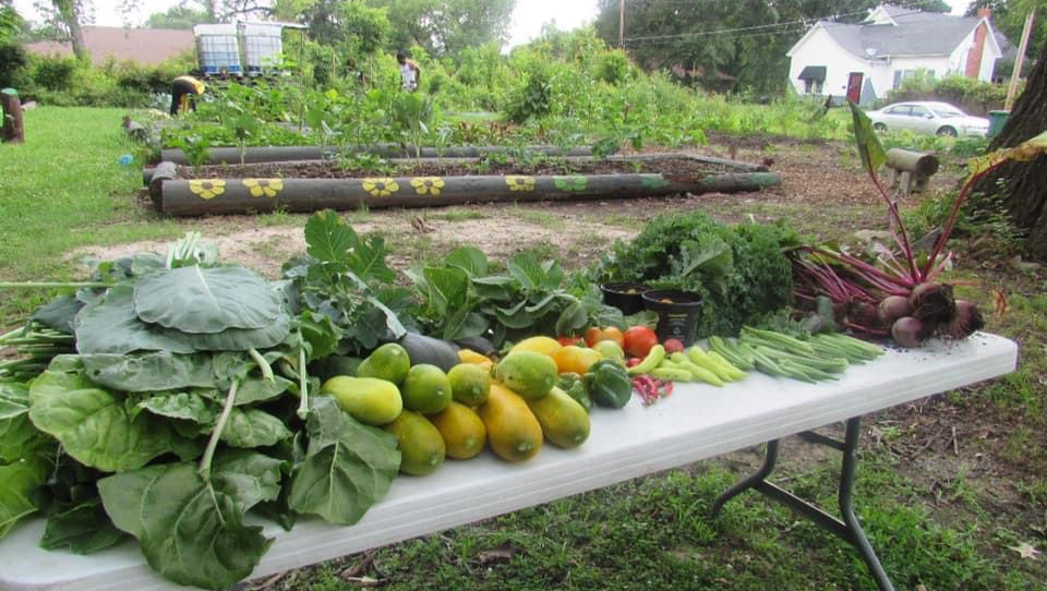 Empower Pine Bluff: Help GSC Gardens Grow photo