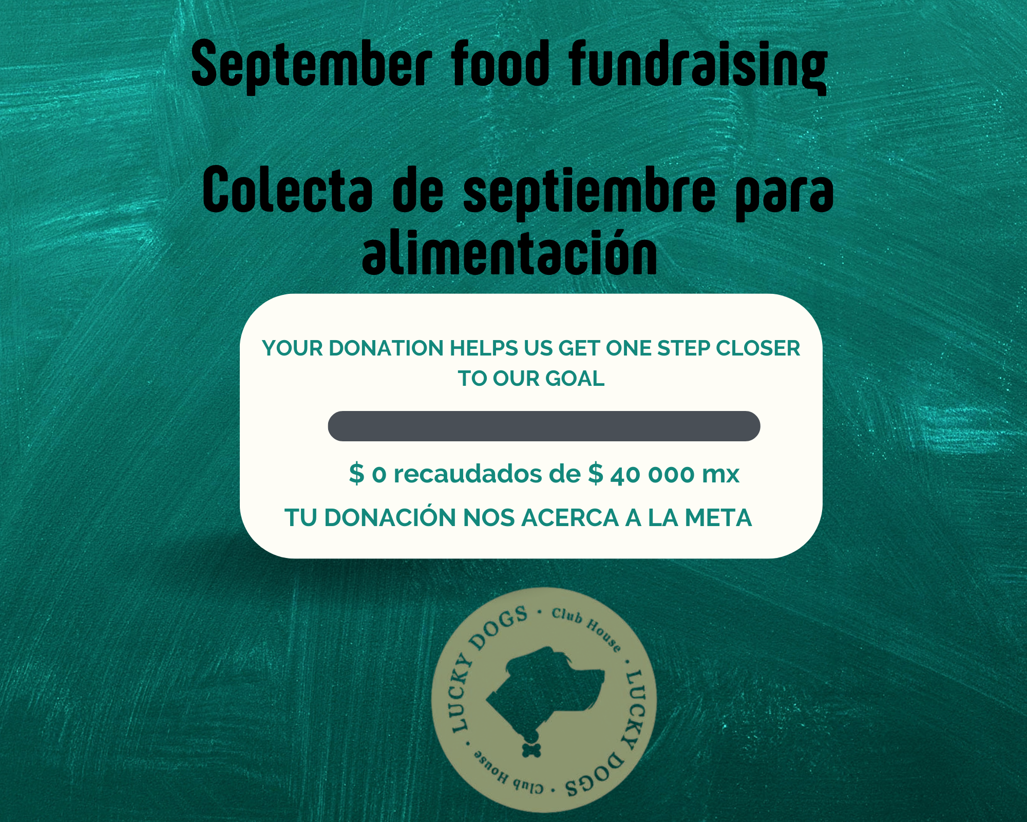 Help us feed rescued street cats and dogs for september campaign photo, 5 of 6