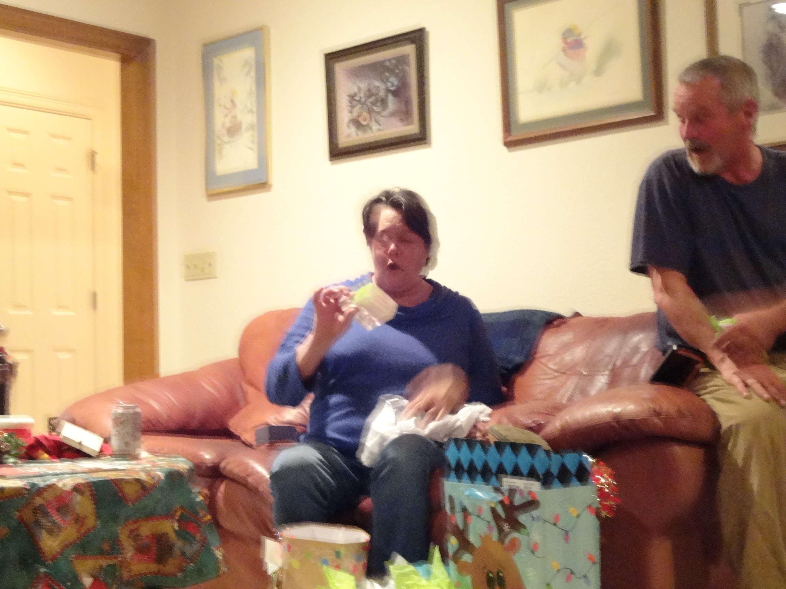 Funeral expenses for Carroll Lynn Whitney - Smith campaign photo, 2 of 4