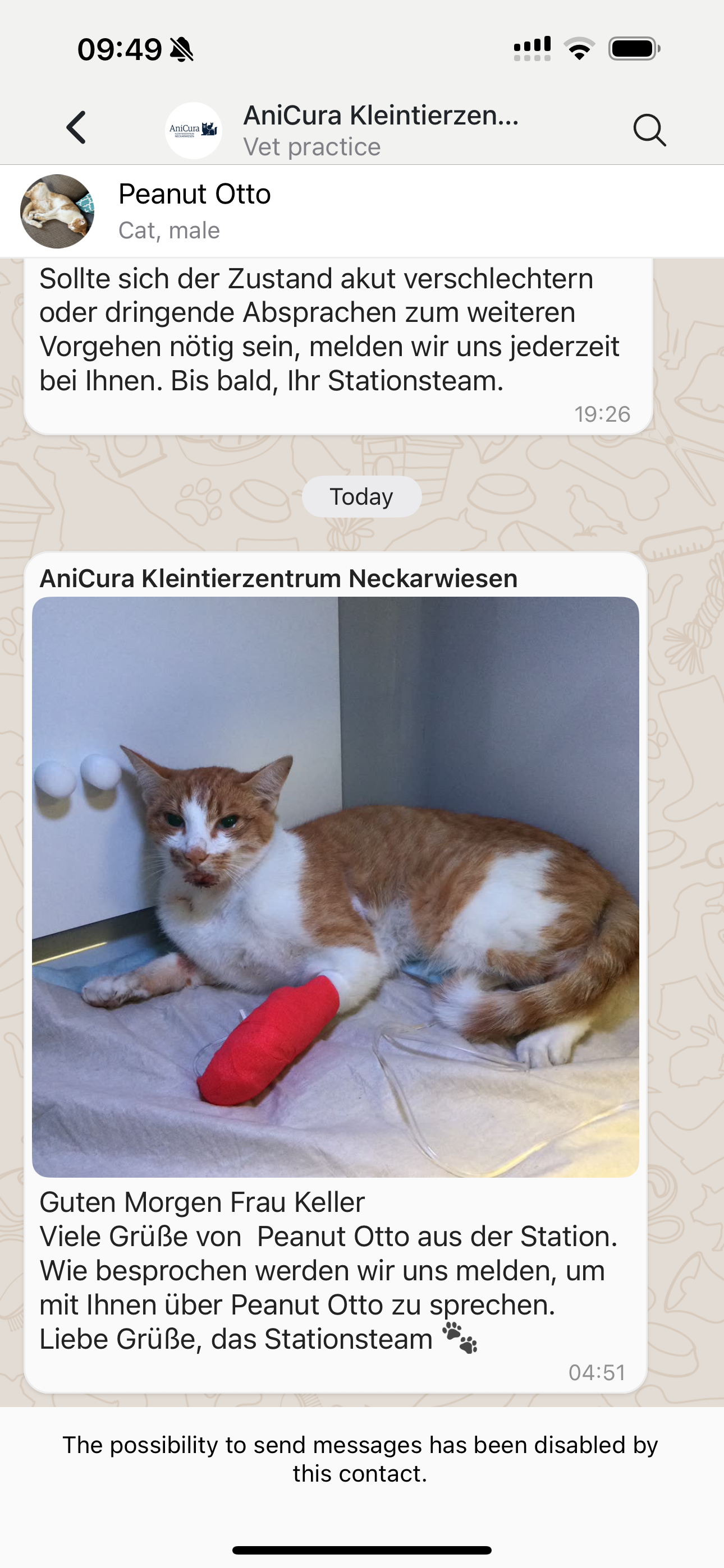 Hilfe für Kater Peanut Otto. Help for Peanut Otto campaign photo, 7 of 8