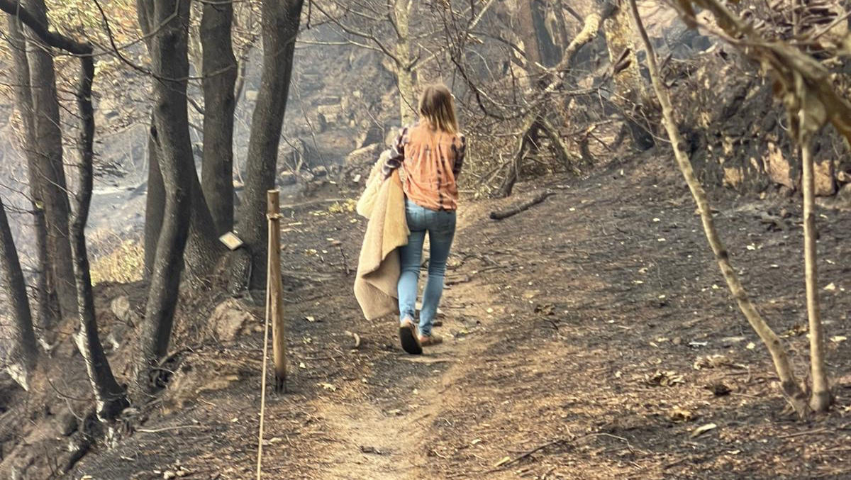Help Rebuild Katy’s Sanctuary photo