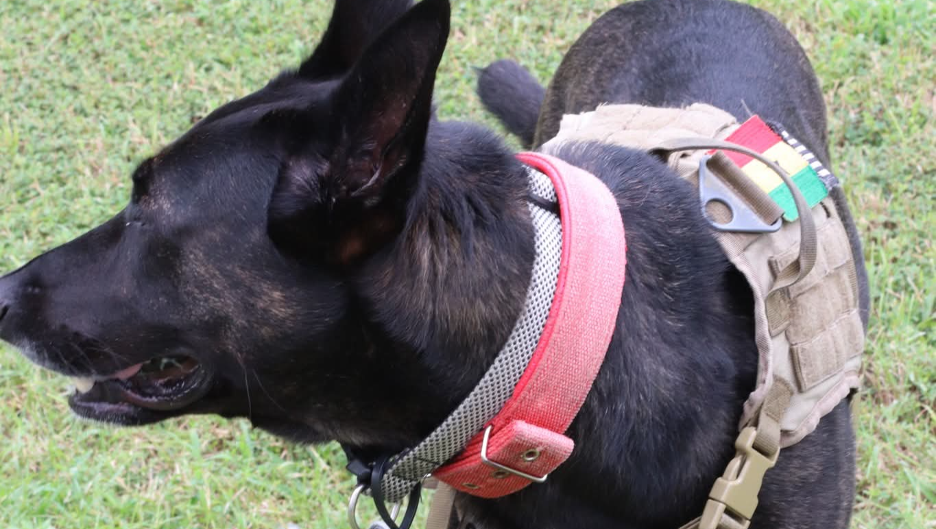 Help Kendrick and Dutchess Thrive on the Road photo