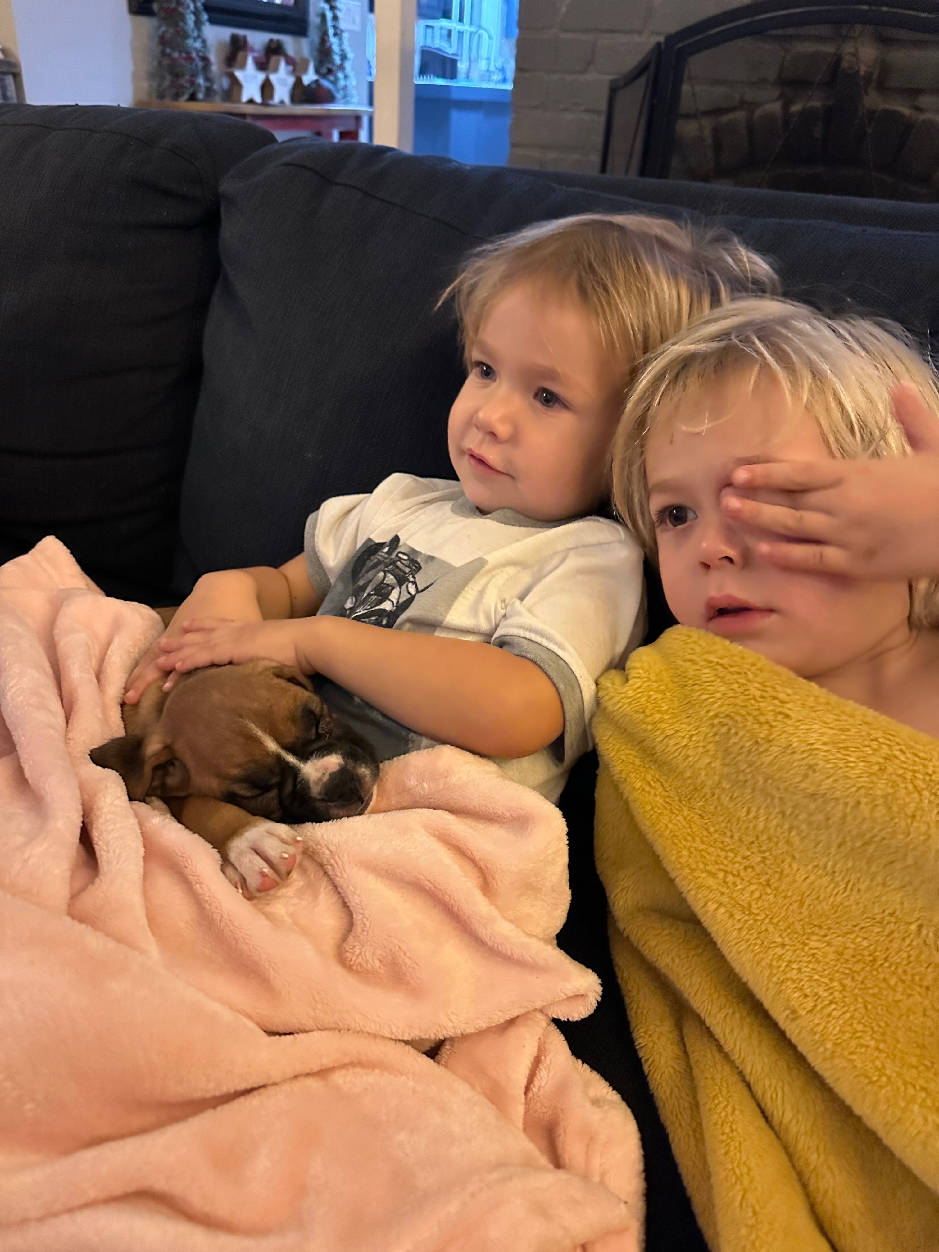Help Henny Recover from Rattlesnake Bite campaign photo, 7 of 8
