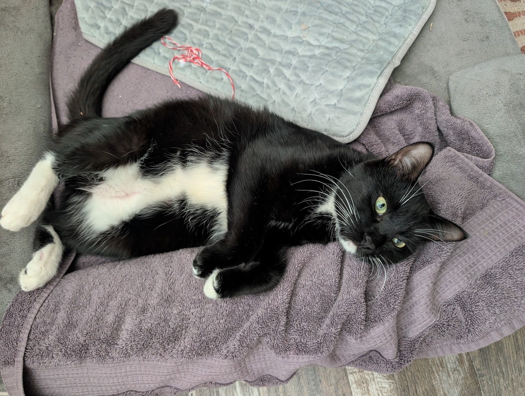 Help Neo Walk Again: Support His Surgery campaign photo, 4 of 7