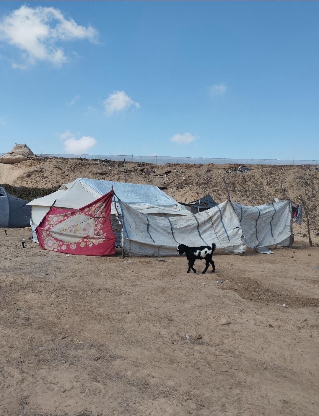 Help Atlas rebuild his life after losing everything in war. campaign photo, 2 of 5