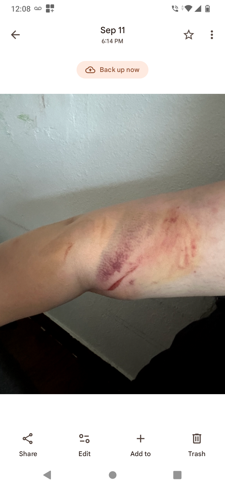 Help A Mom Of 3 Recover From A Car Accident campaign photo, 6 of 7