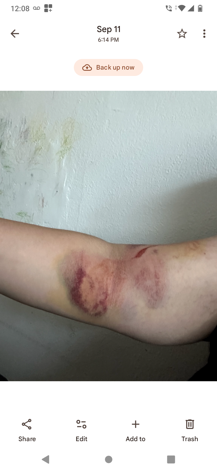 Help A Mom Of 3 Recover From A Car Accident campaign photo, 2 of 7