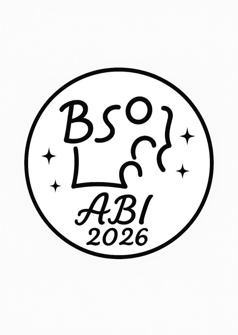 Abitur BSO- Berufliches Schulzentrum Odenwald 2026 campaign photo, 2 of 4