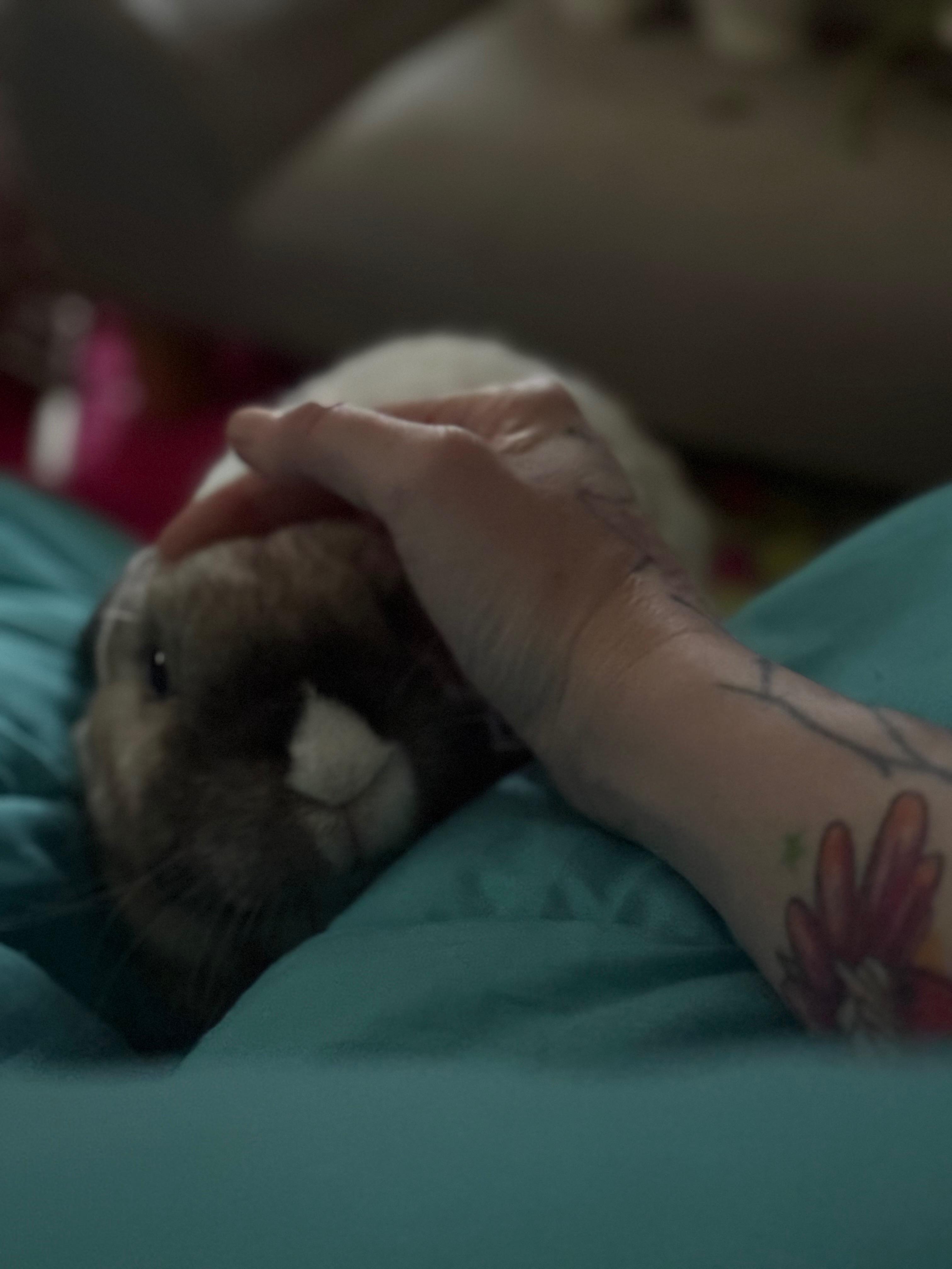 Help Thadius and Bodacious with Medical Bills campaign photo, 4 of 8