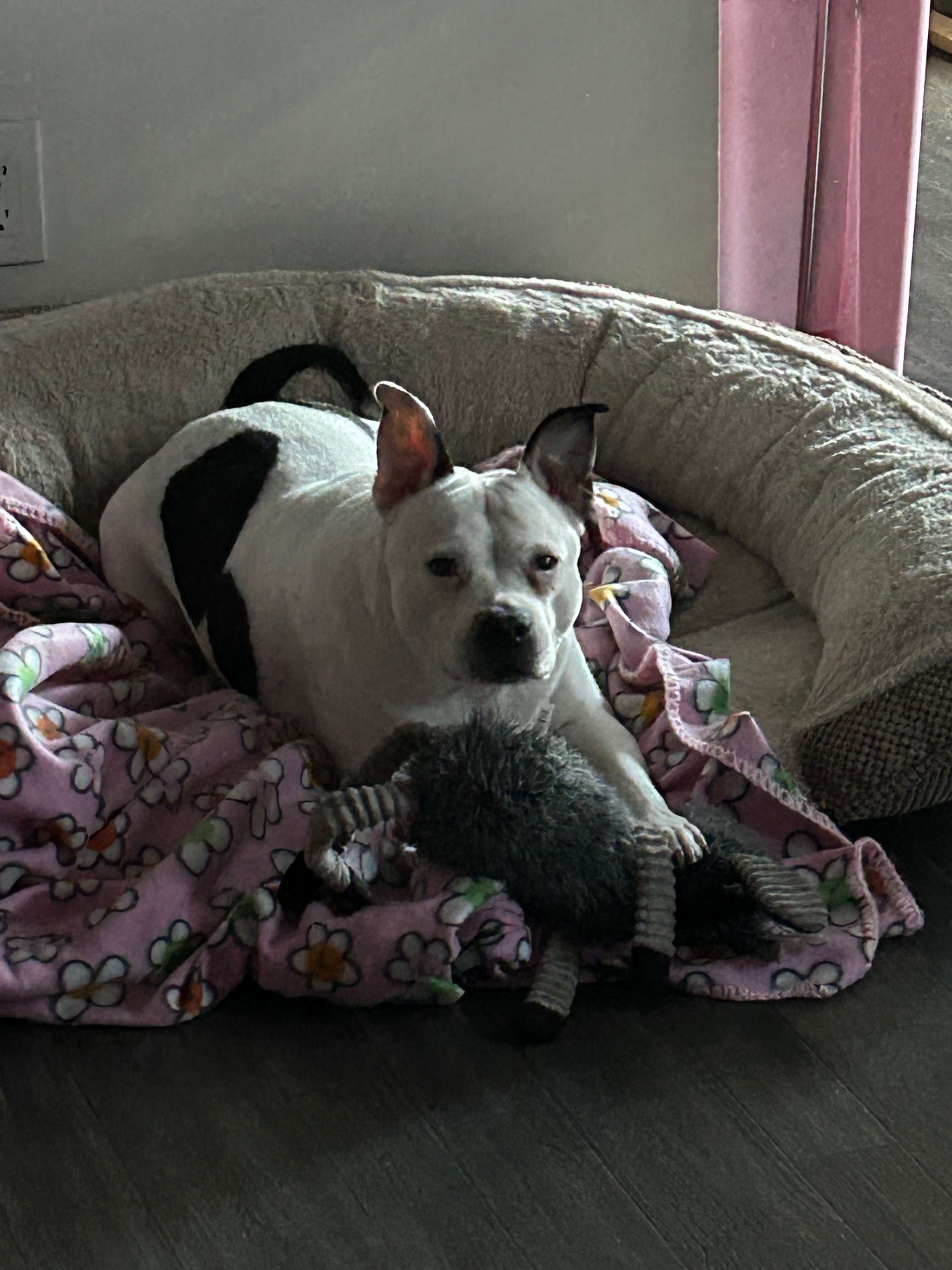 Please help Royal get her surgery campaign photo, 7 of 8