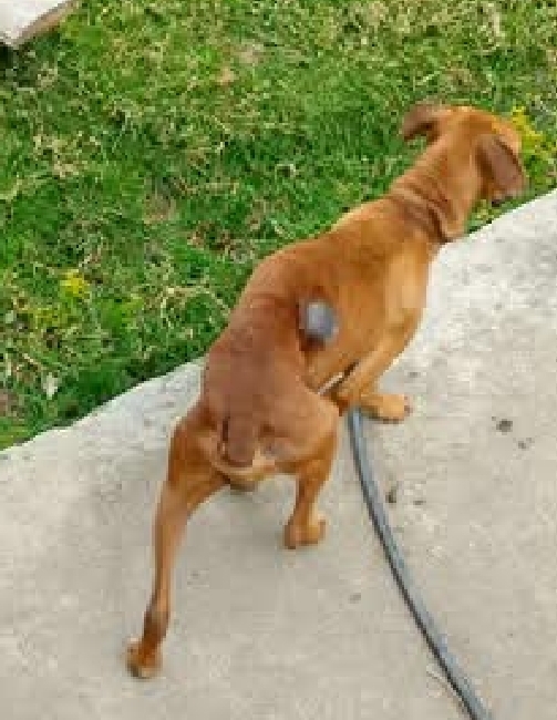 This sweet starving baby. PLEASE HELP US HELP HER campaign photo, 2 of 8