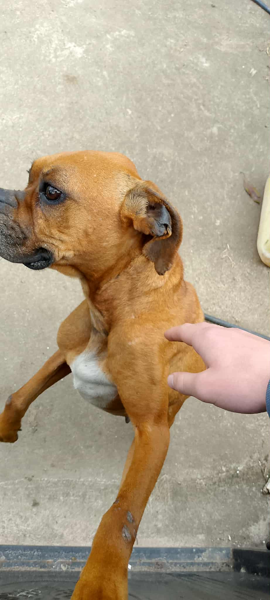 This sweet starving baby. PLEASE HELP US HELP HER campaign photo, 5 of 8