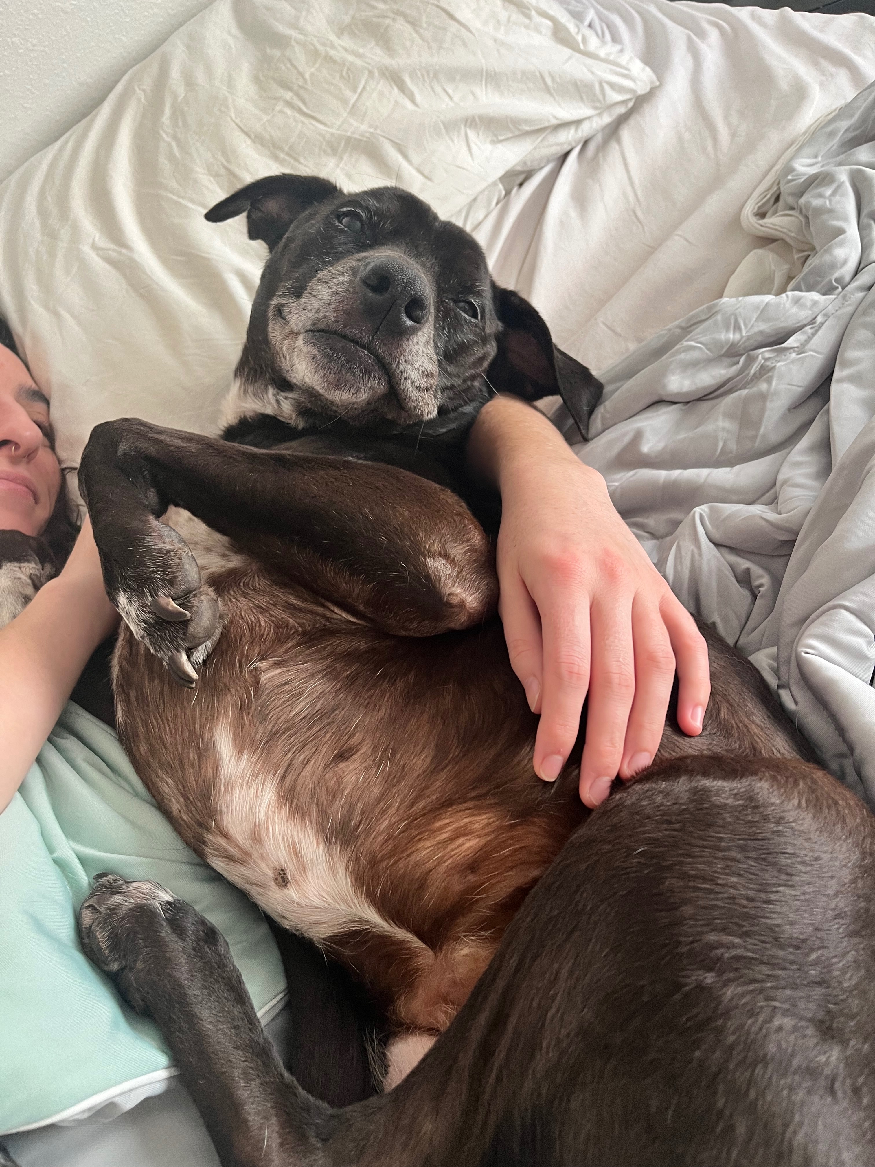 Help Daisy’s Journey to Better Health campaign photo, 6 of 8