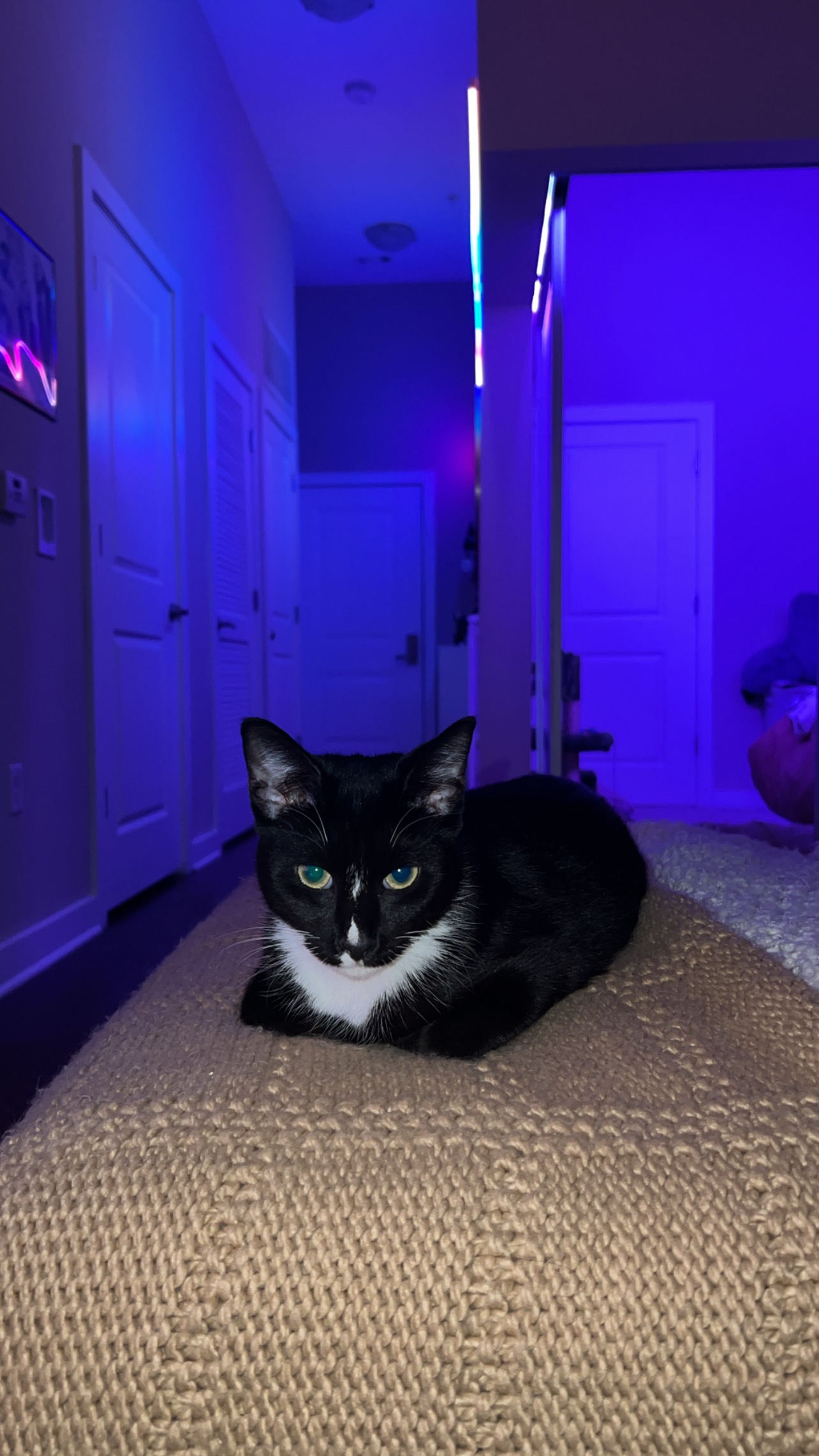Donate to Help Milly Cover Bruce's Surgery campaign photo, 7 of 8