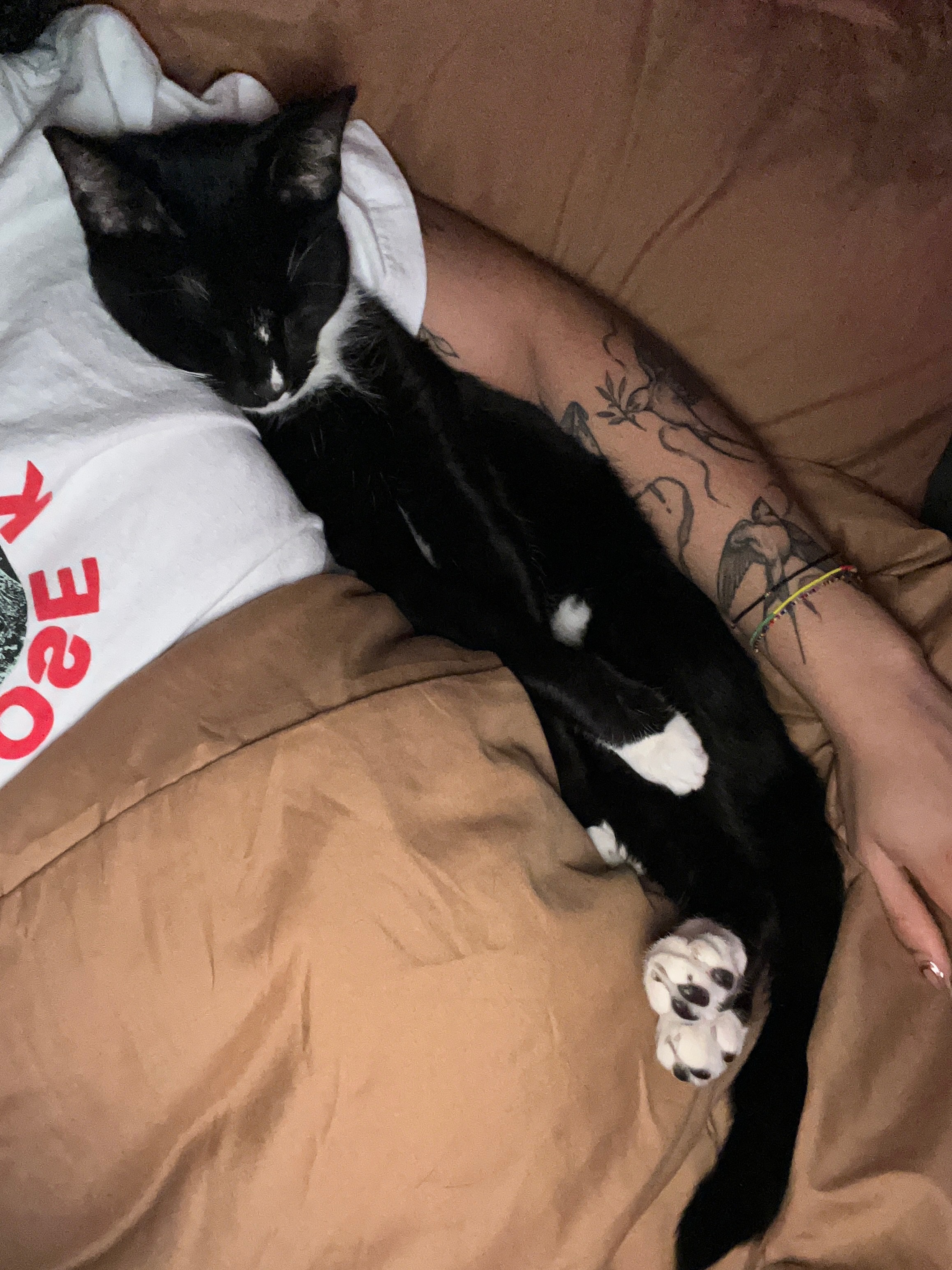 Donate to Help Milly Cover Bruce's Surgery campaign photo, 5 of 8