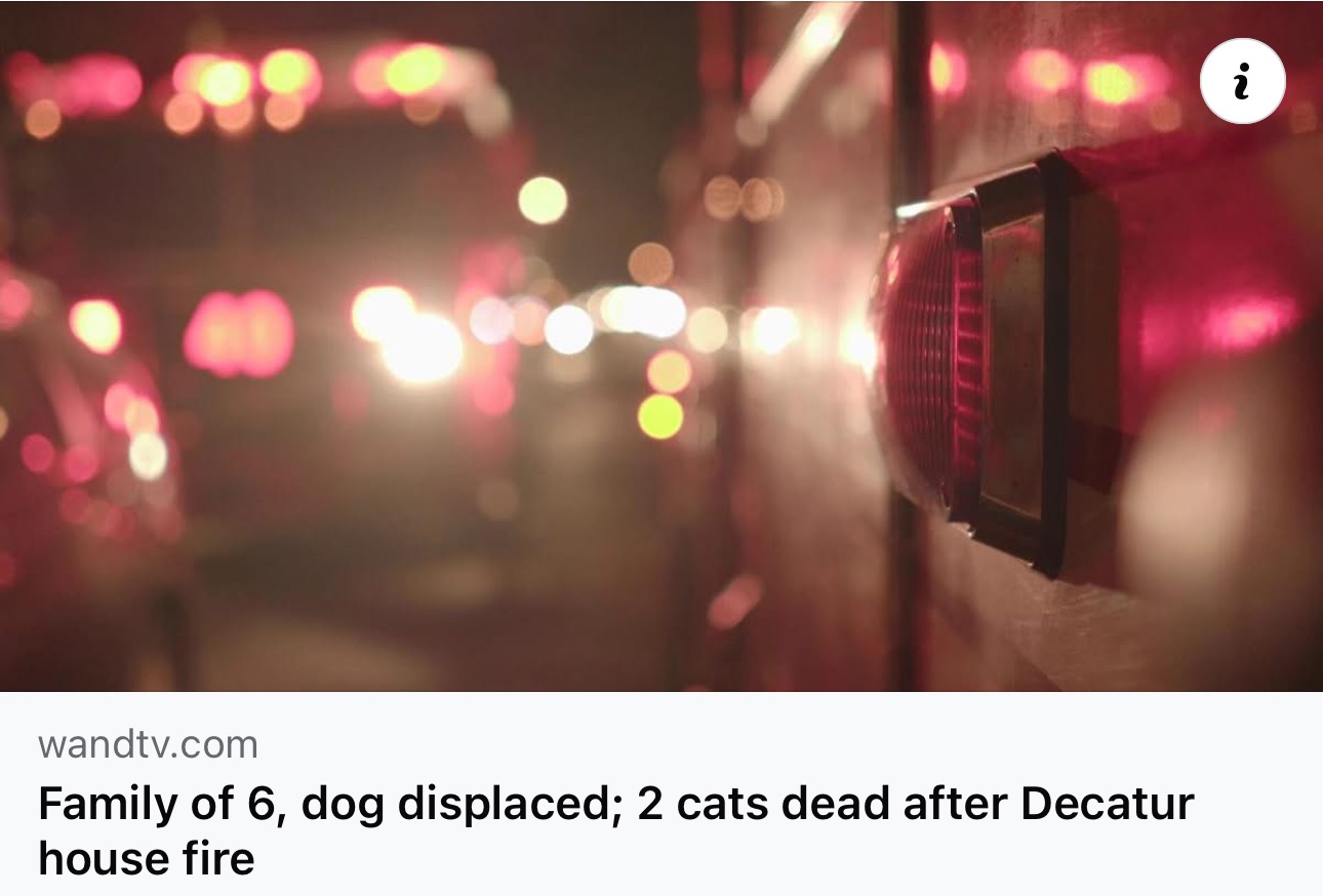 User-uploaded image 1