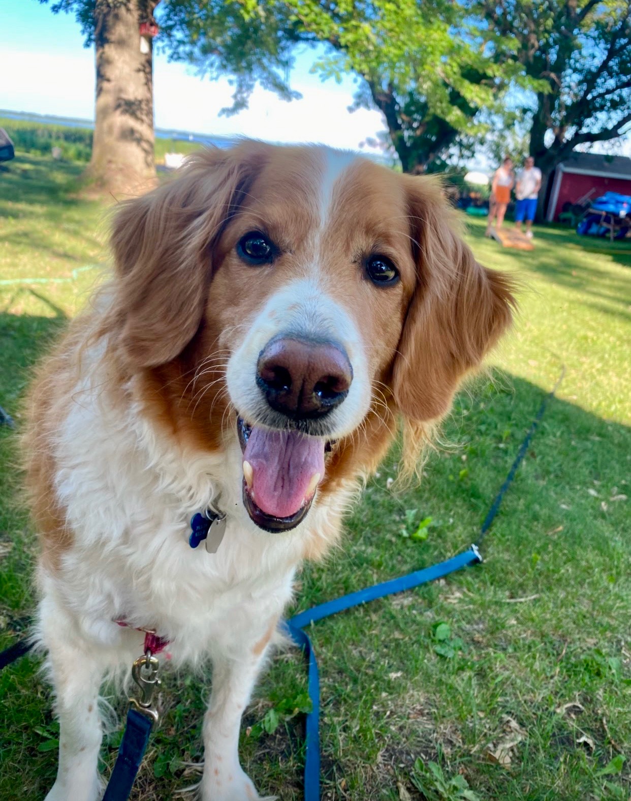 Help Marvin Beat Cancer and stay his happy, goofy self! campaign photo, 2 of 8
